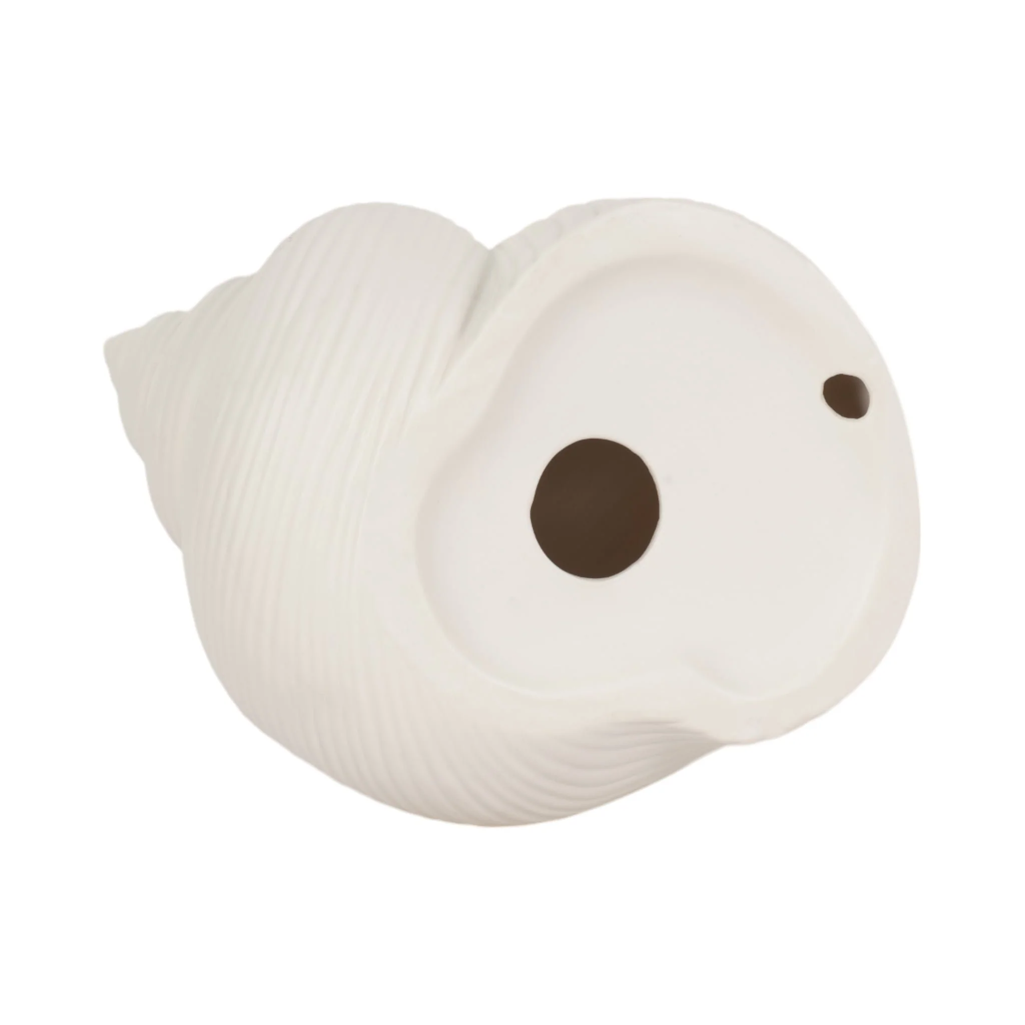 6" Bonnet Seashell, White - Image 7