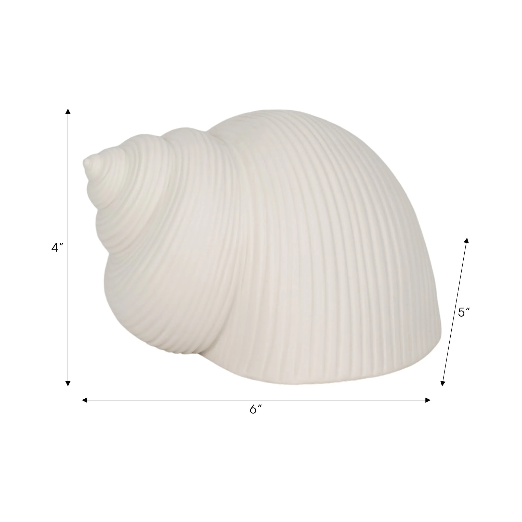 6" Bonnet Seashell, White - Image 8