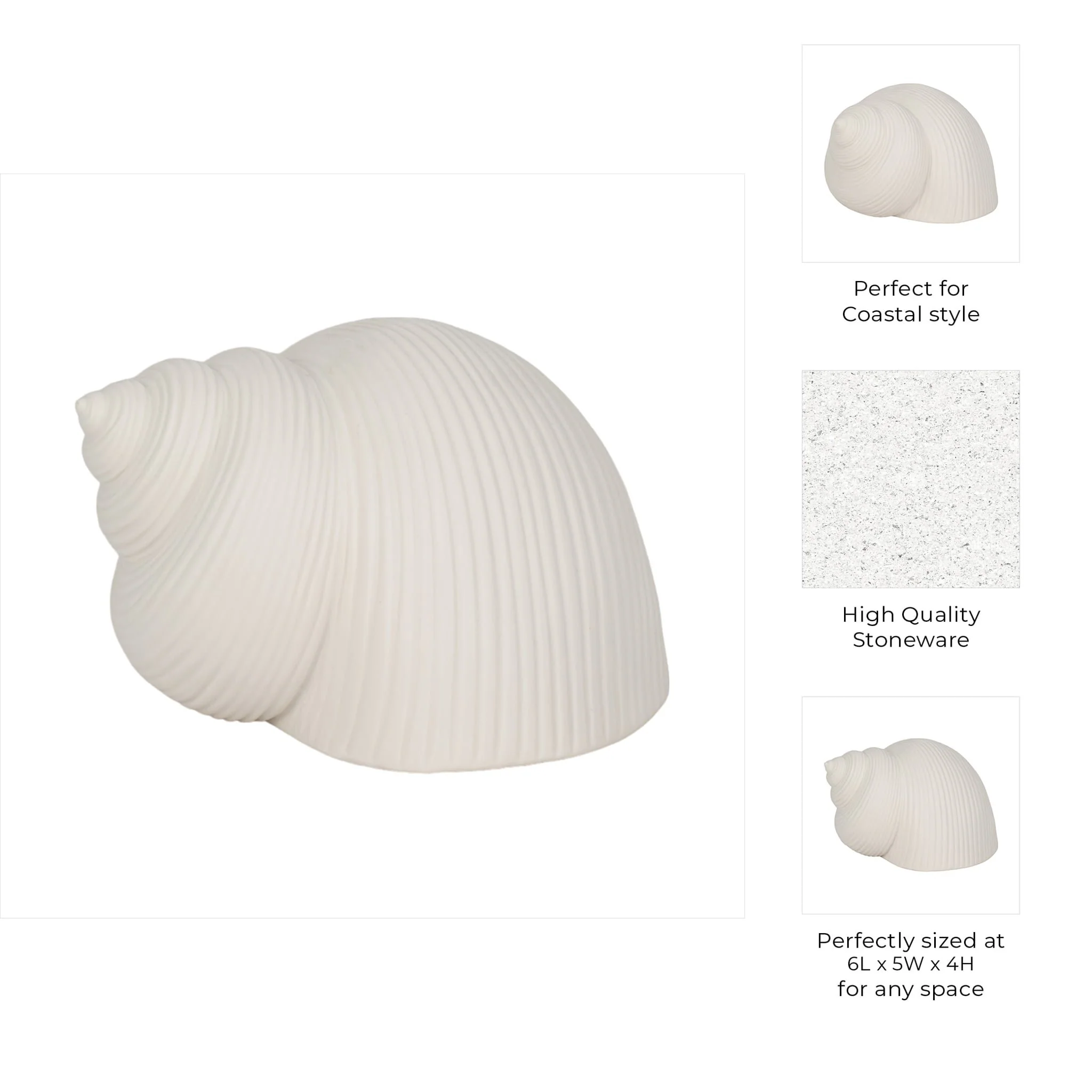 6" Bonnet Seashell, White - Image 9