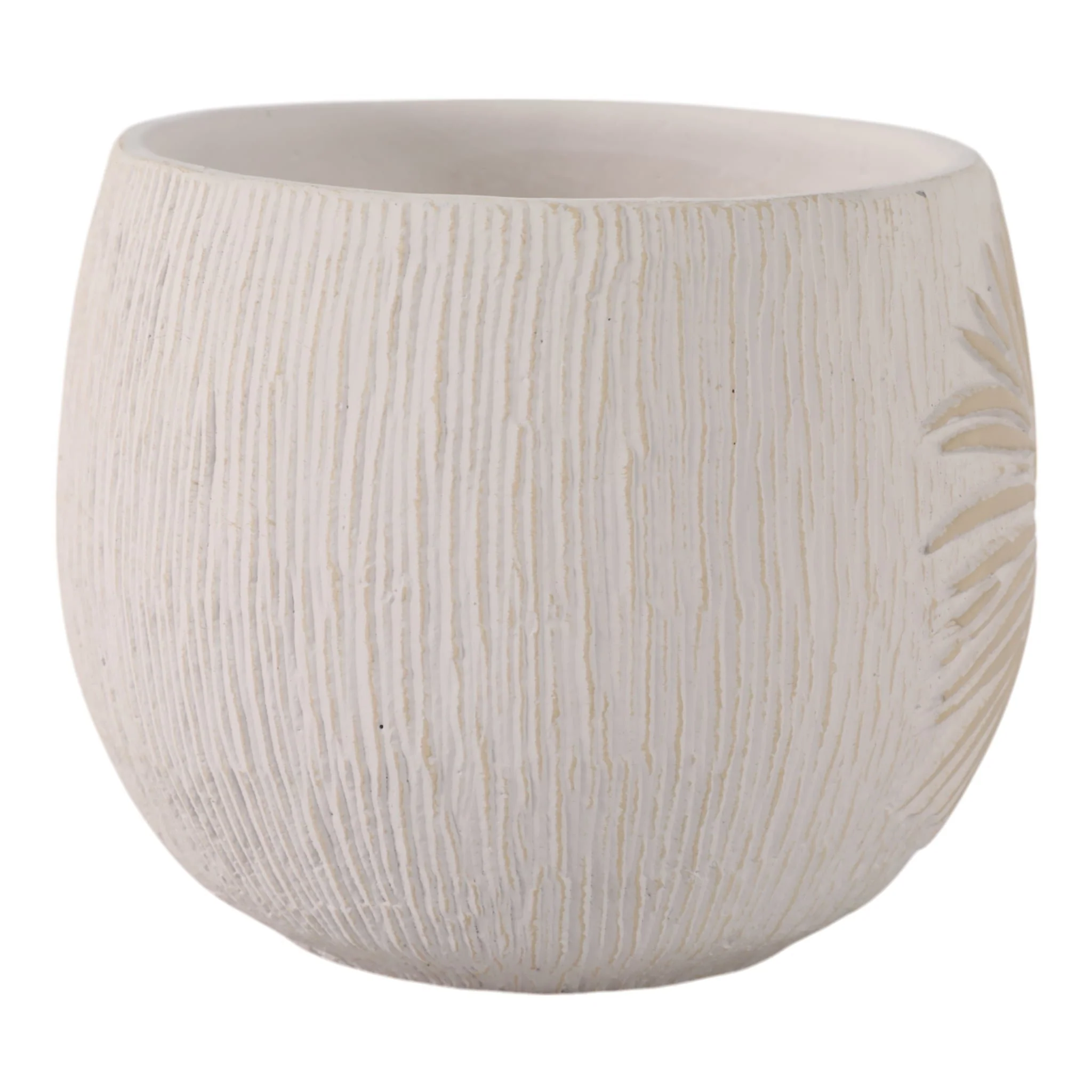 6" Pampas On Rounded Planter, Ivory - Image 3