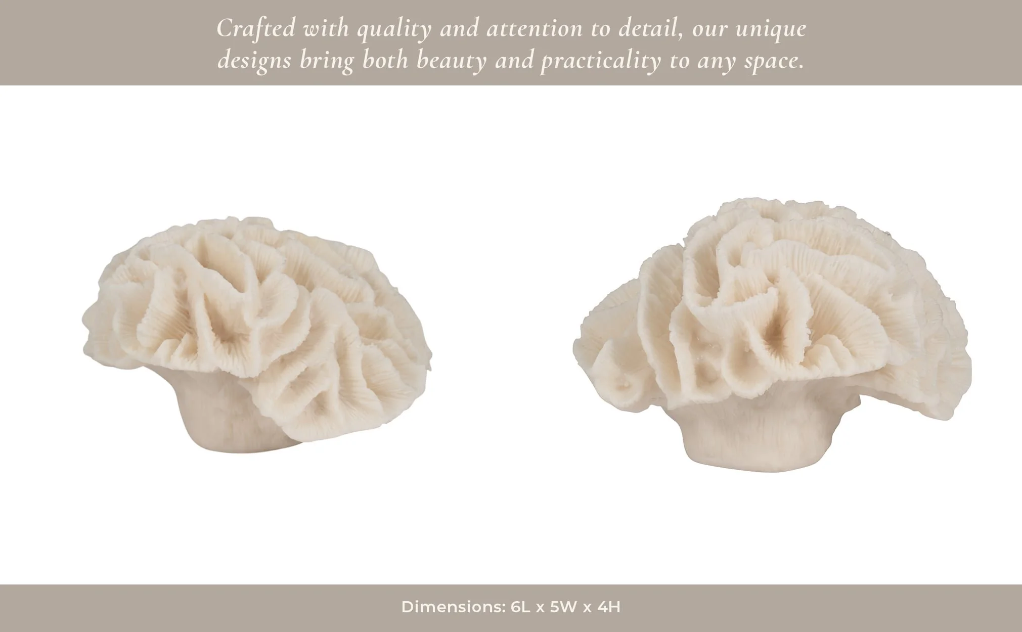 6" Petal Coral, Ivory - Image 11