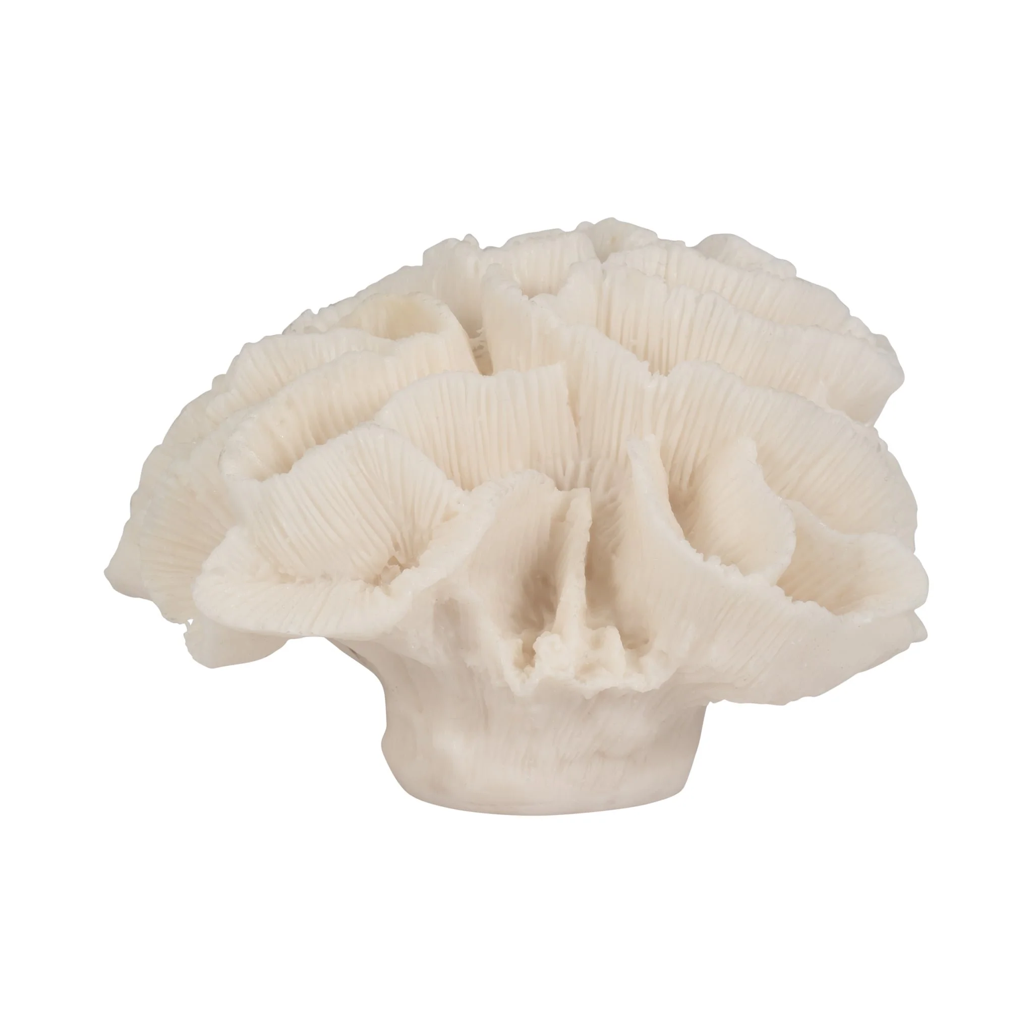 6" Petal Coral, Ivory - Image 3