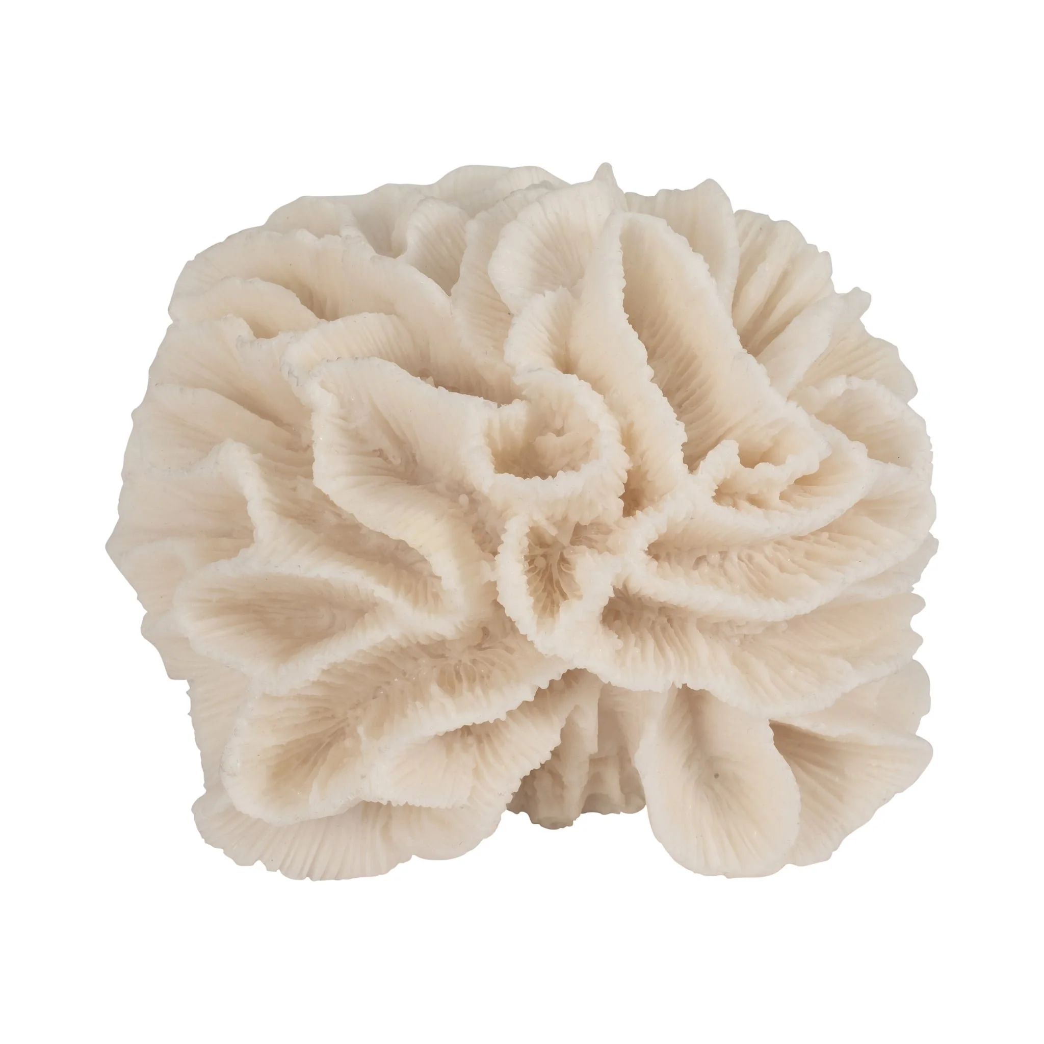 6" Petal Coral, Ivory - Image 5