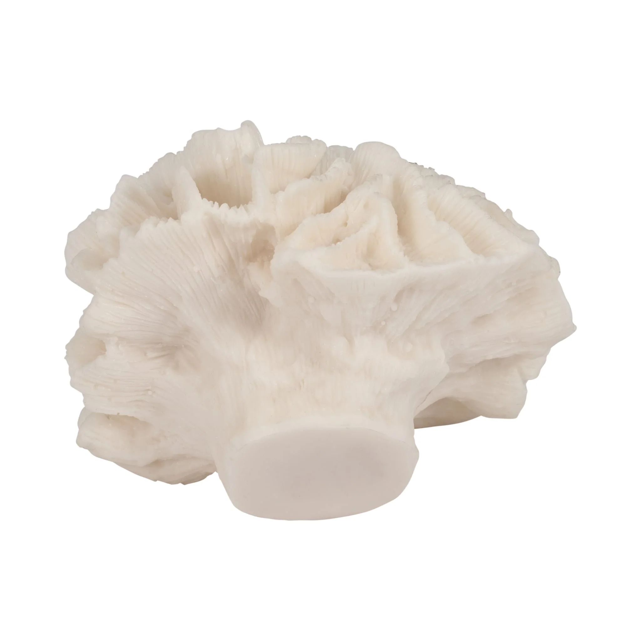 6" Petal Coral, Ivory - Image 6