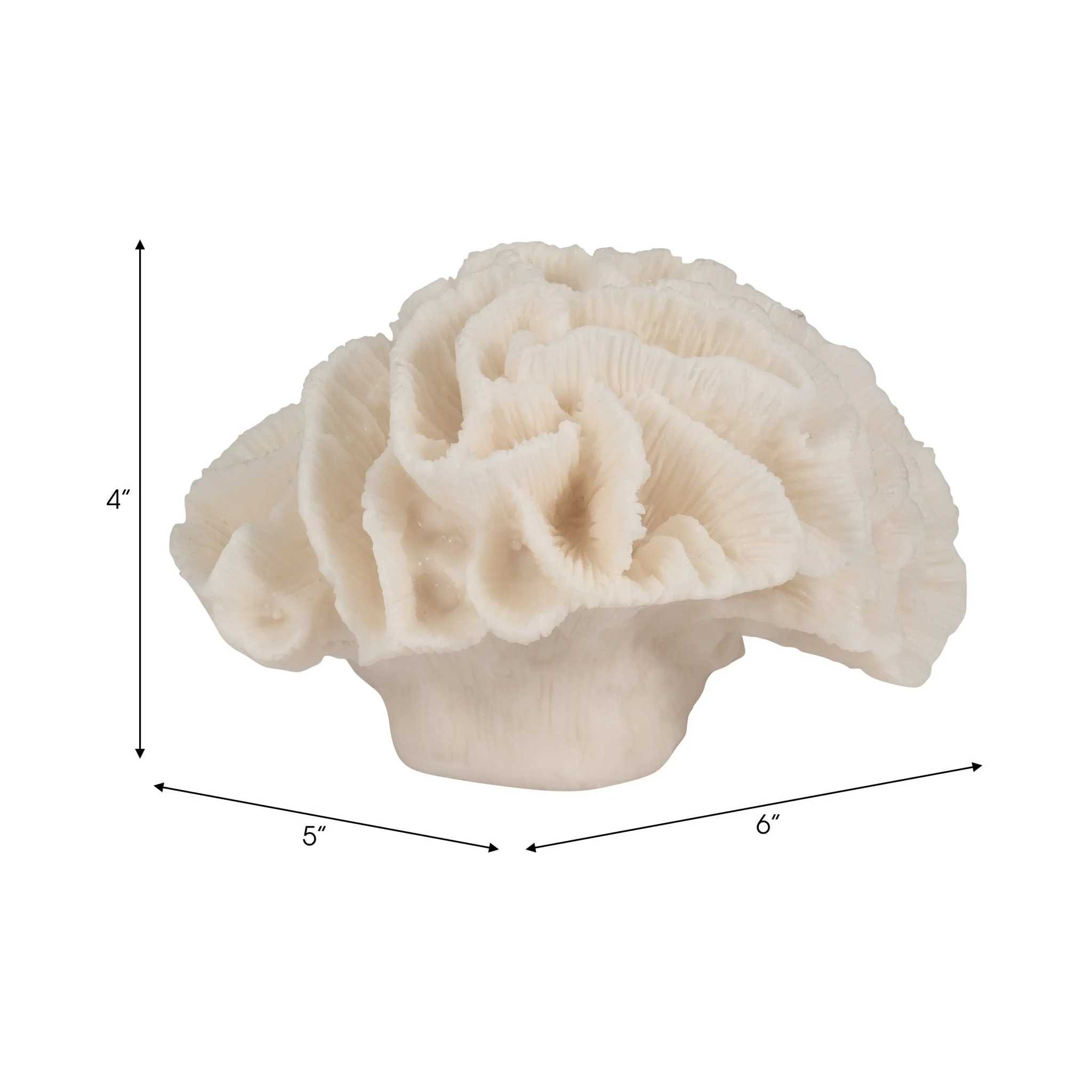 6" Petal Coral, Ivory - Image 7