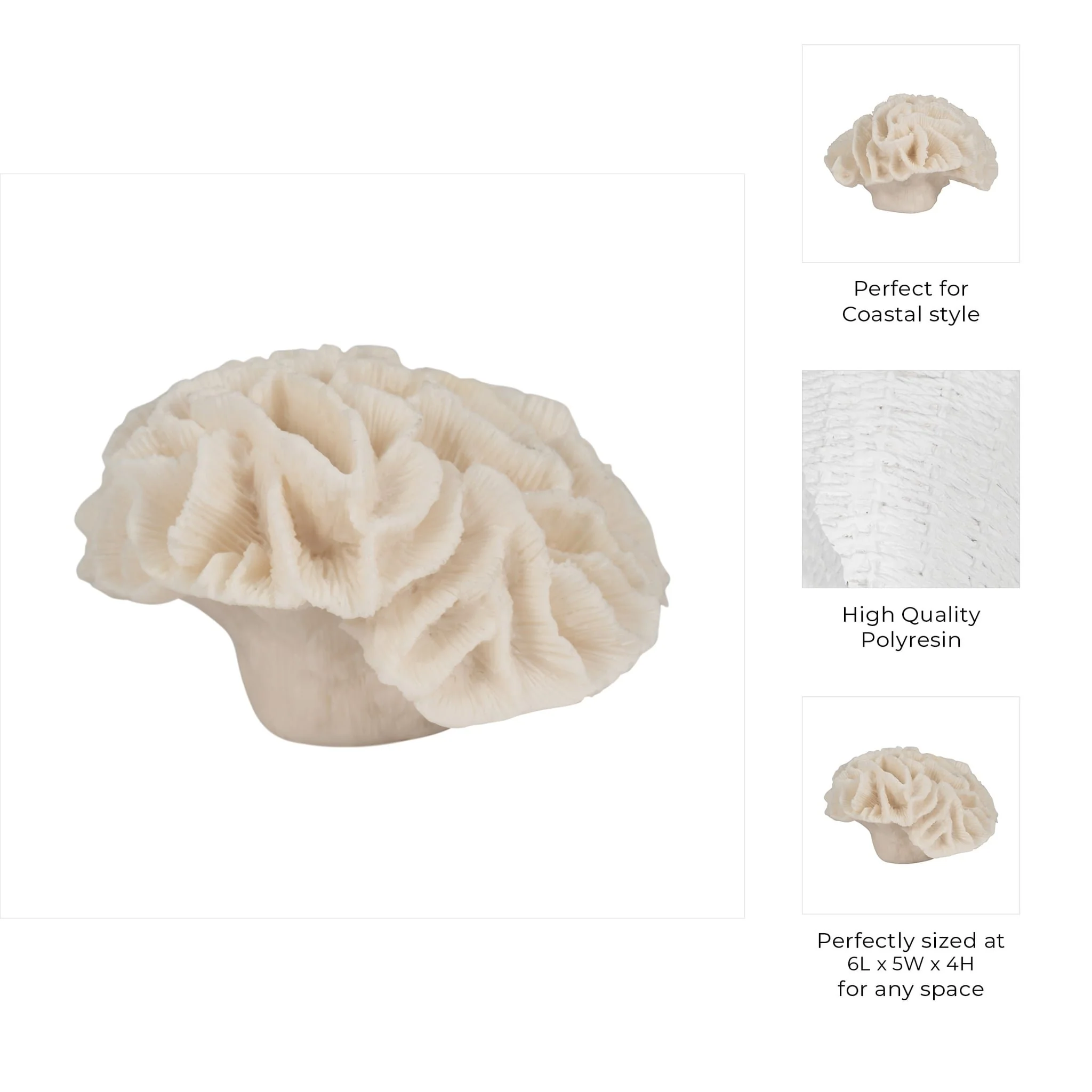 6" Petal Coral, Ivory - Image 8