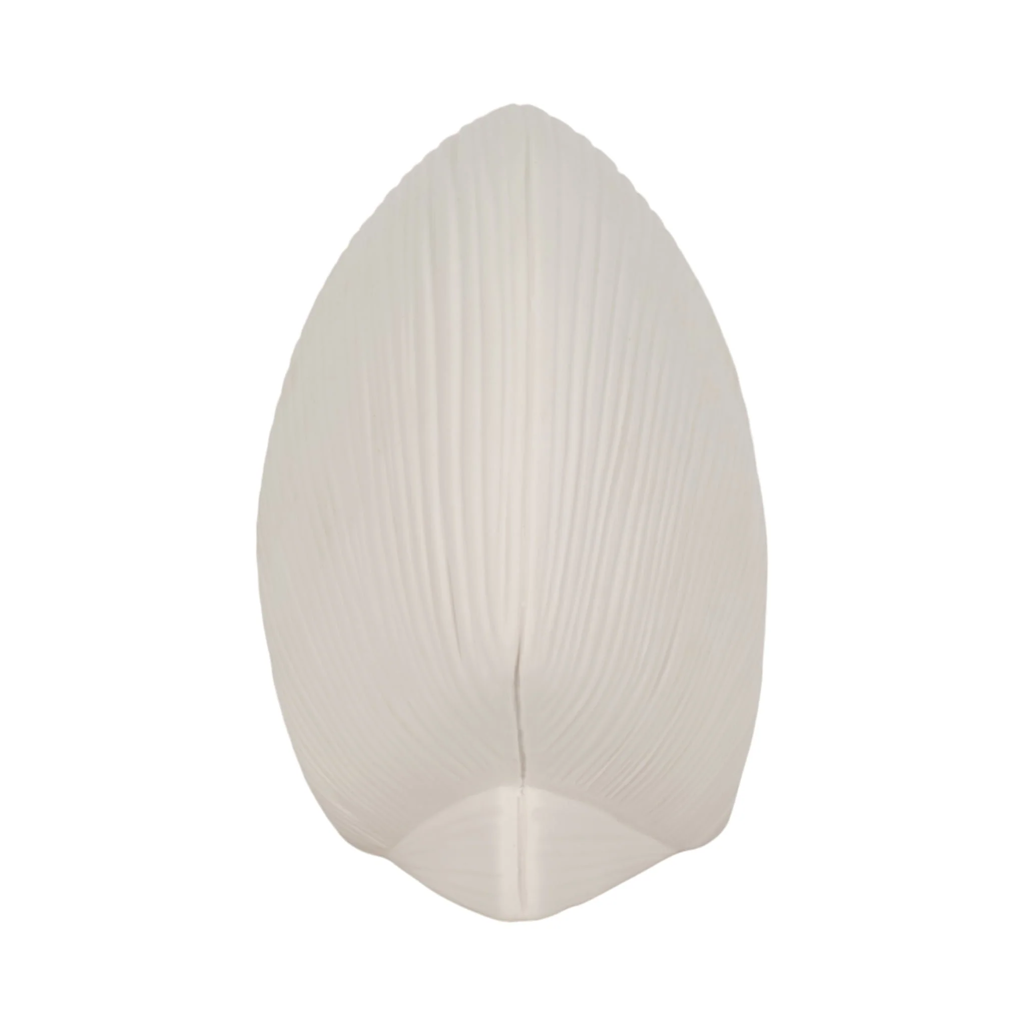 6" Seashell Decor, White - Image 3