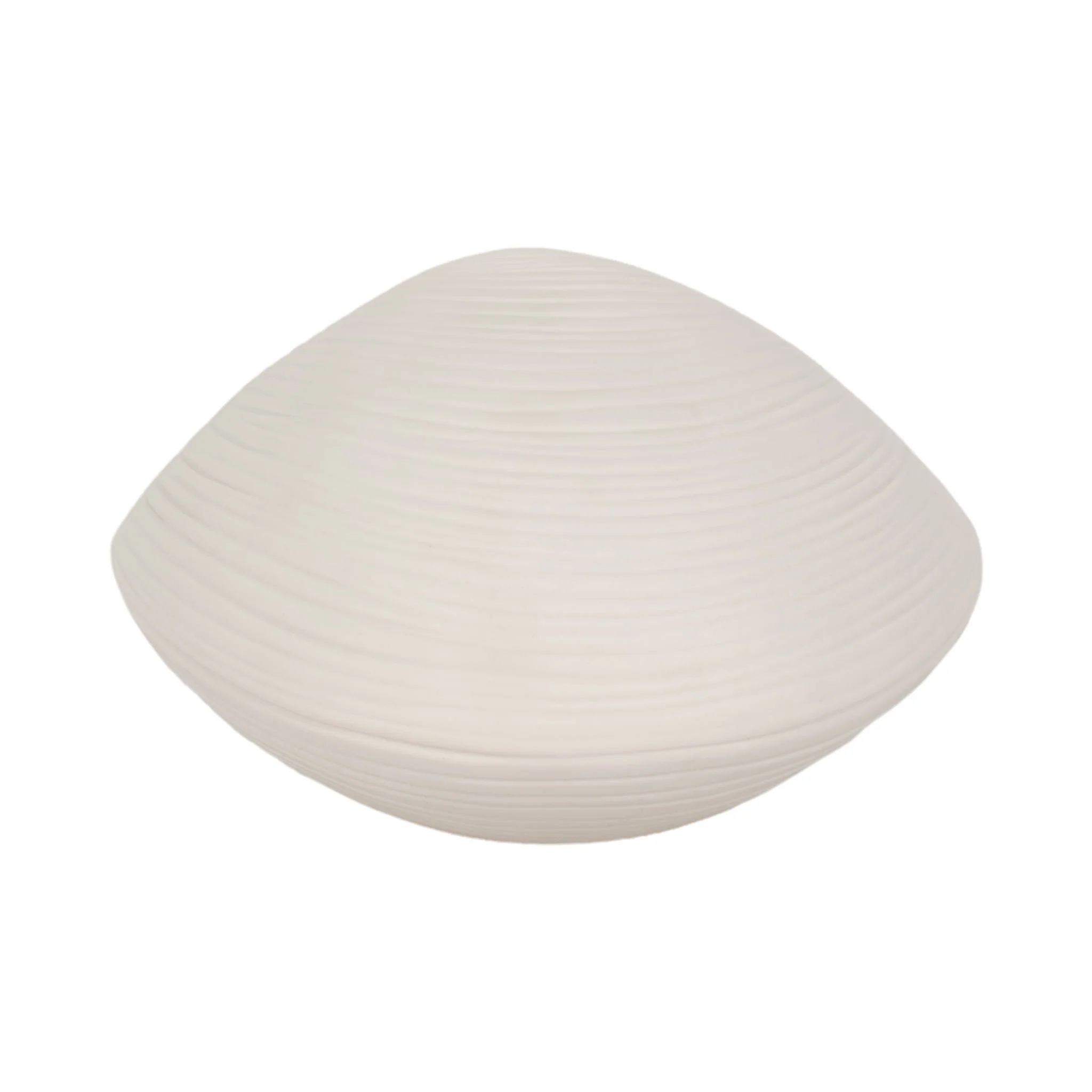 6" Seashell Decor, White - Image 5