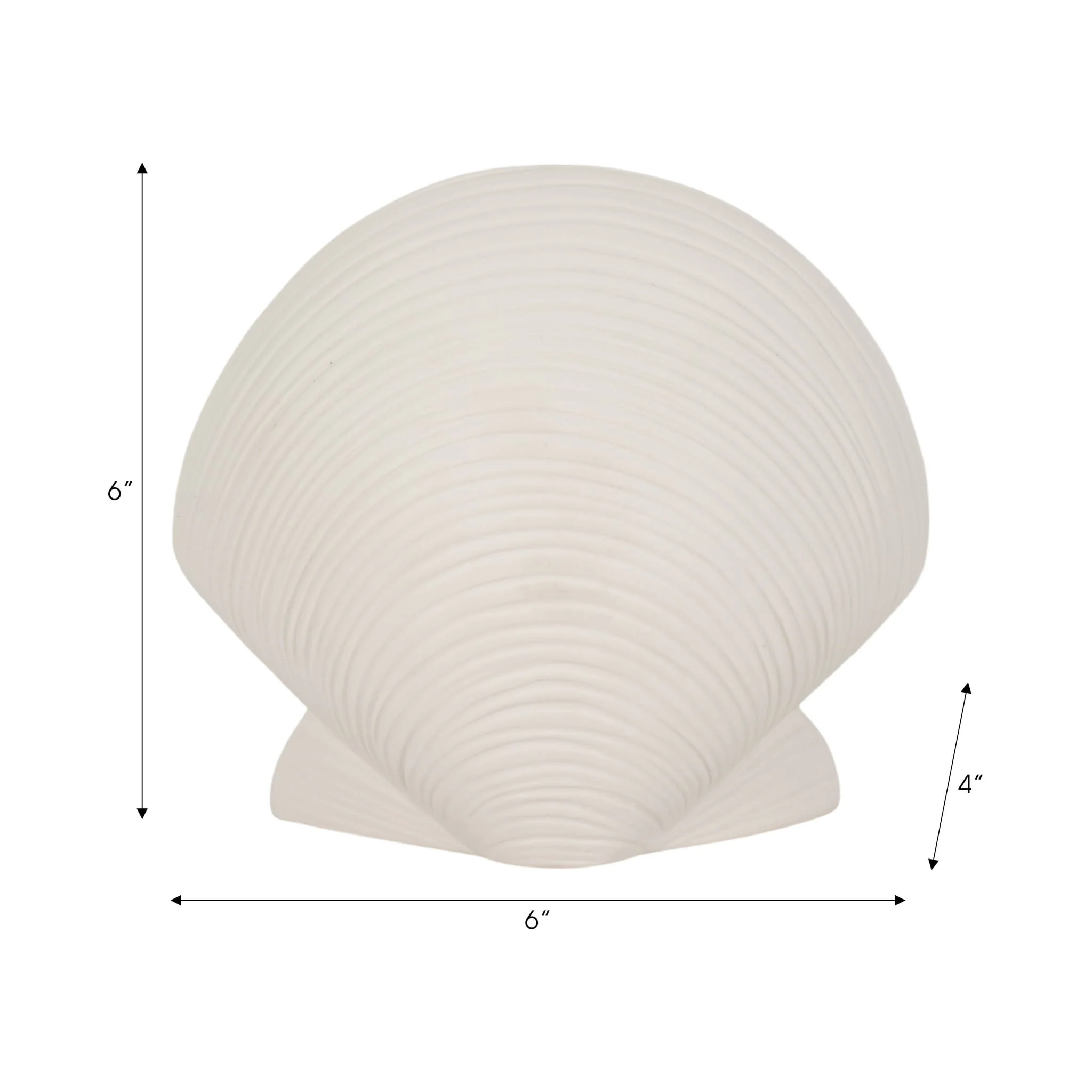 6" Seashell Decor, White - Image 7