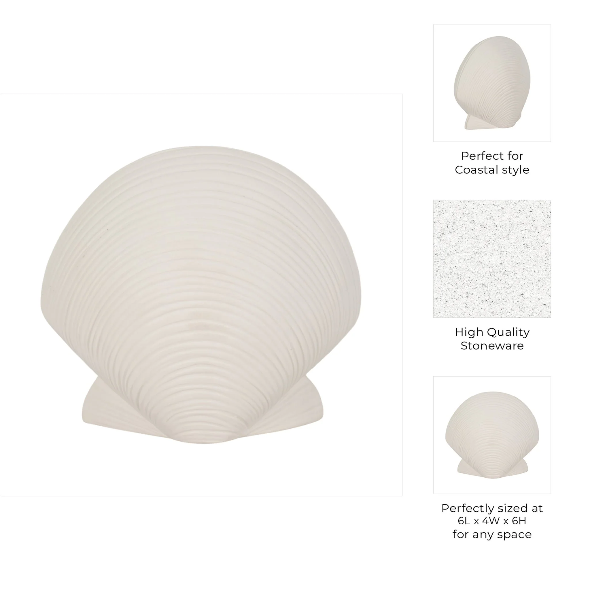 6" Seashell Decor, White - Image 8
