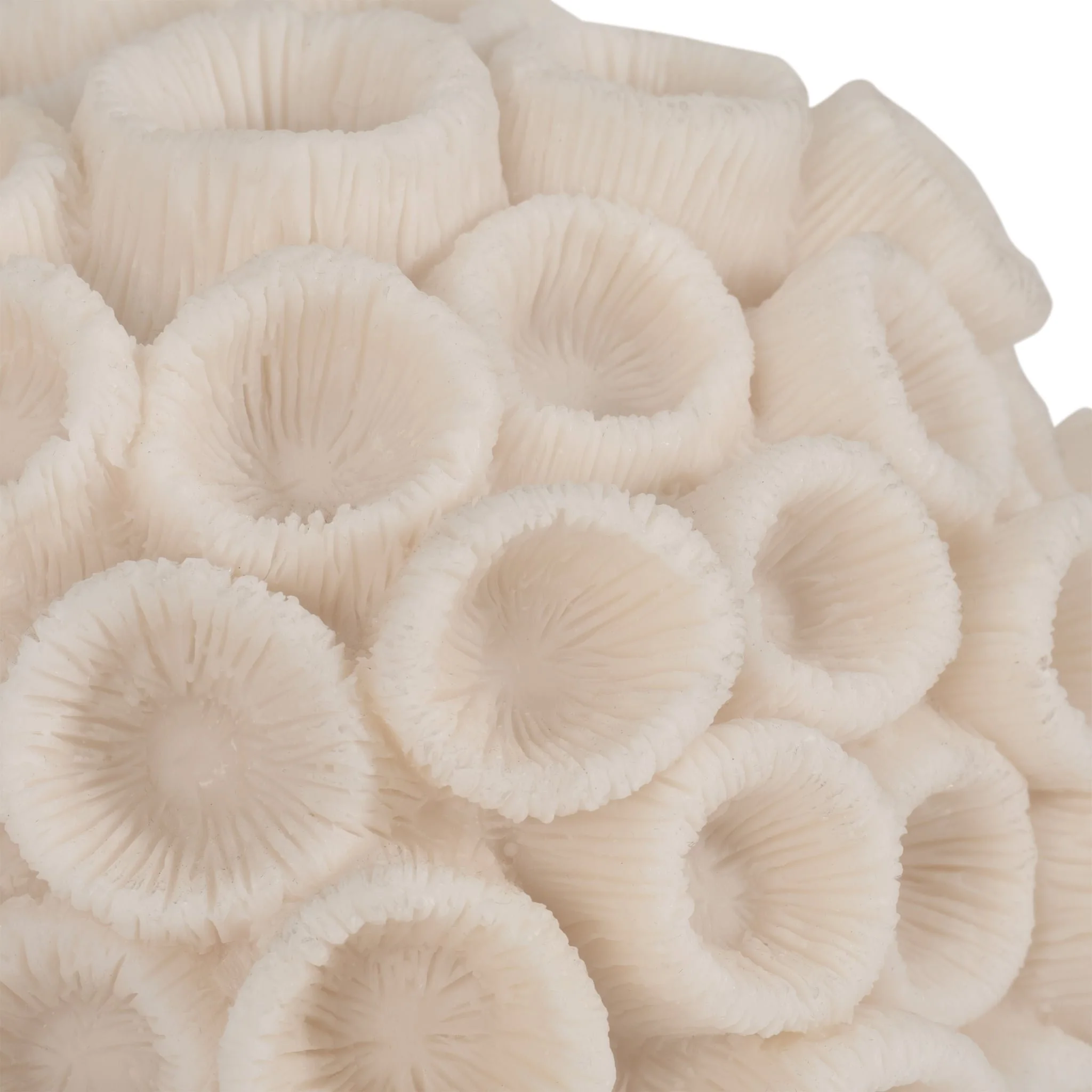 7" Round Coral Orb, Ivory - Image 3