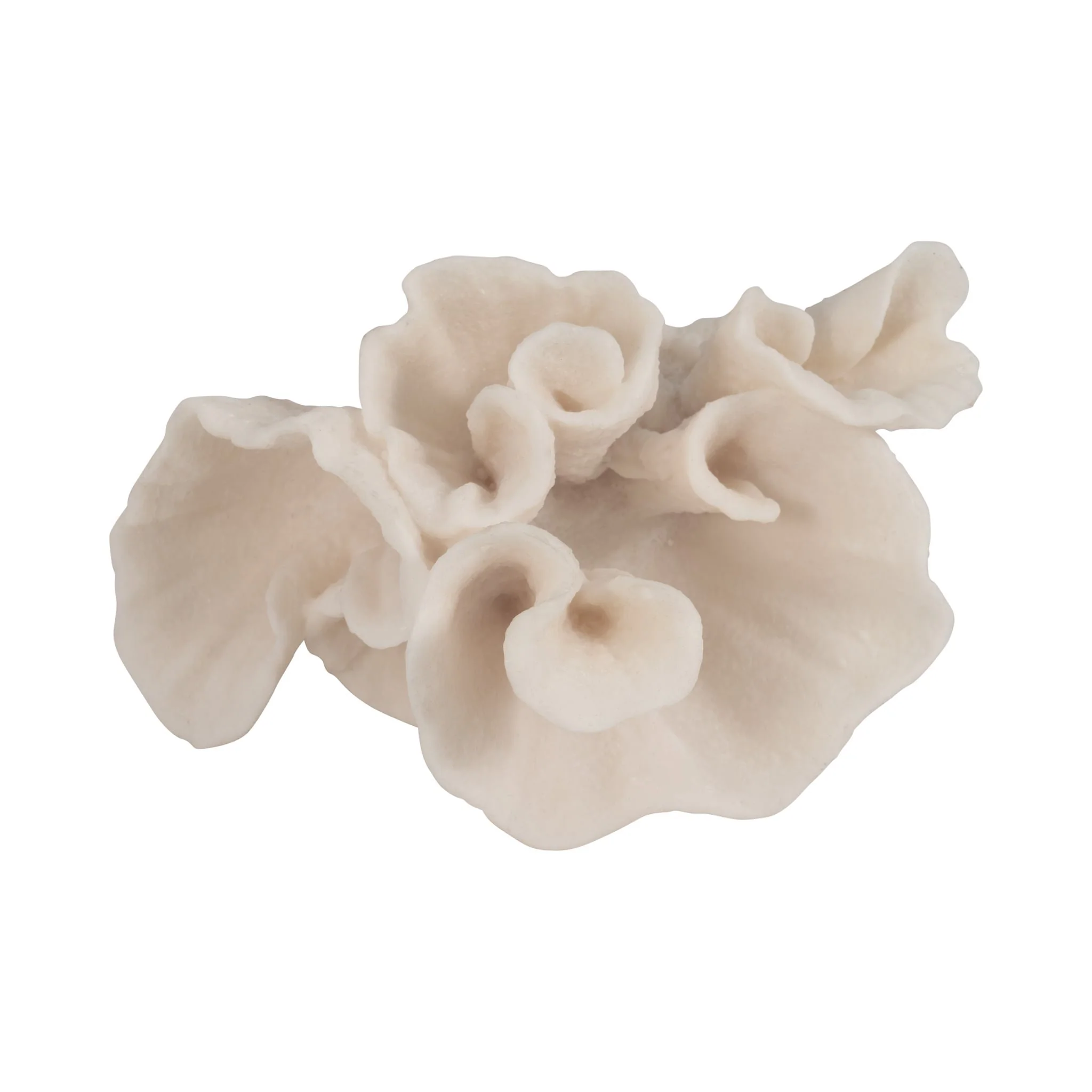 8" Coral Object, Ivory - Image 6