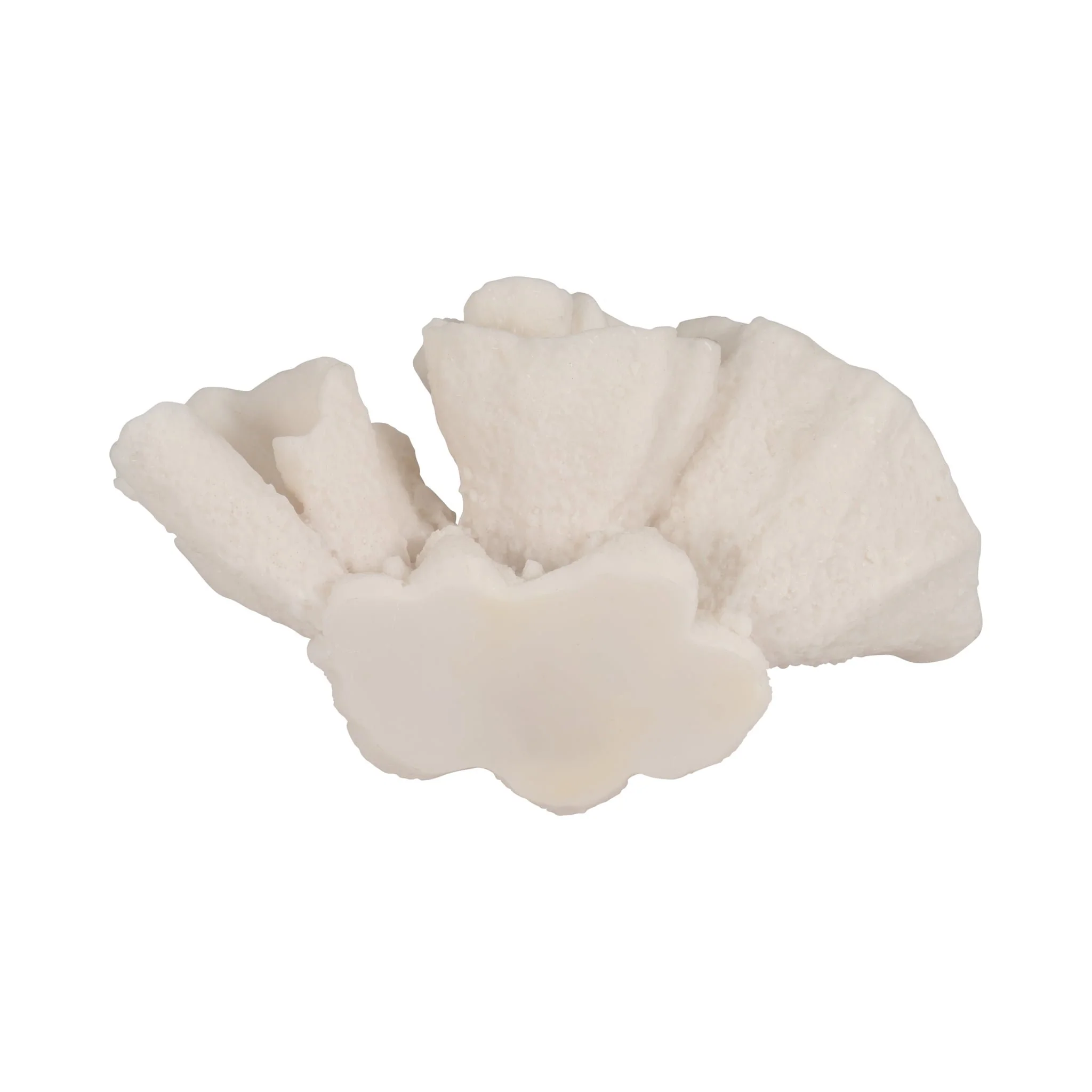 8" Coral Object, Ivory - Image 7