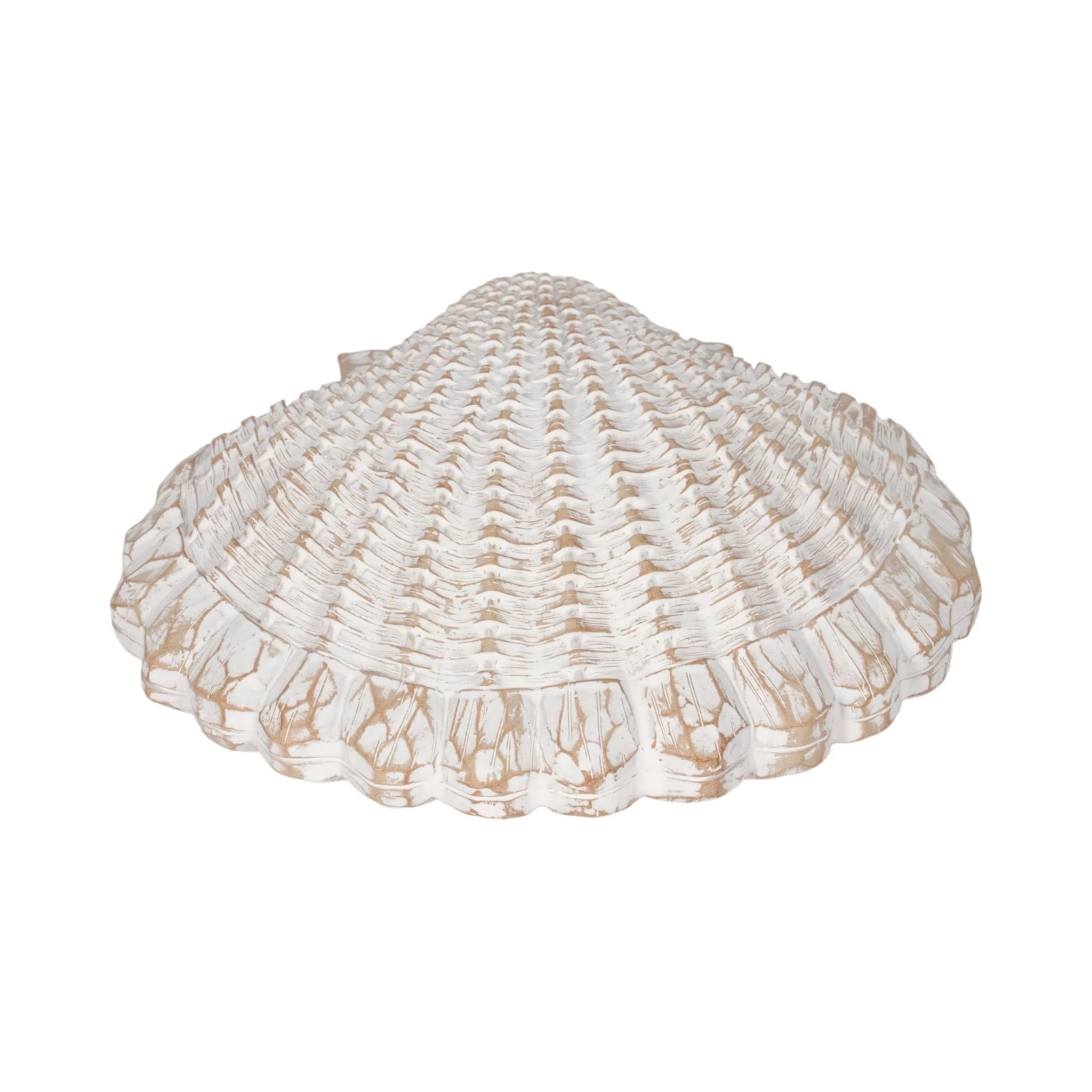 8" Sea Scallop Shell Woven Pattern, White - Image 5
