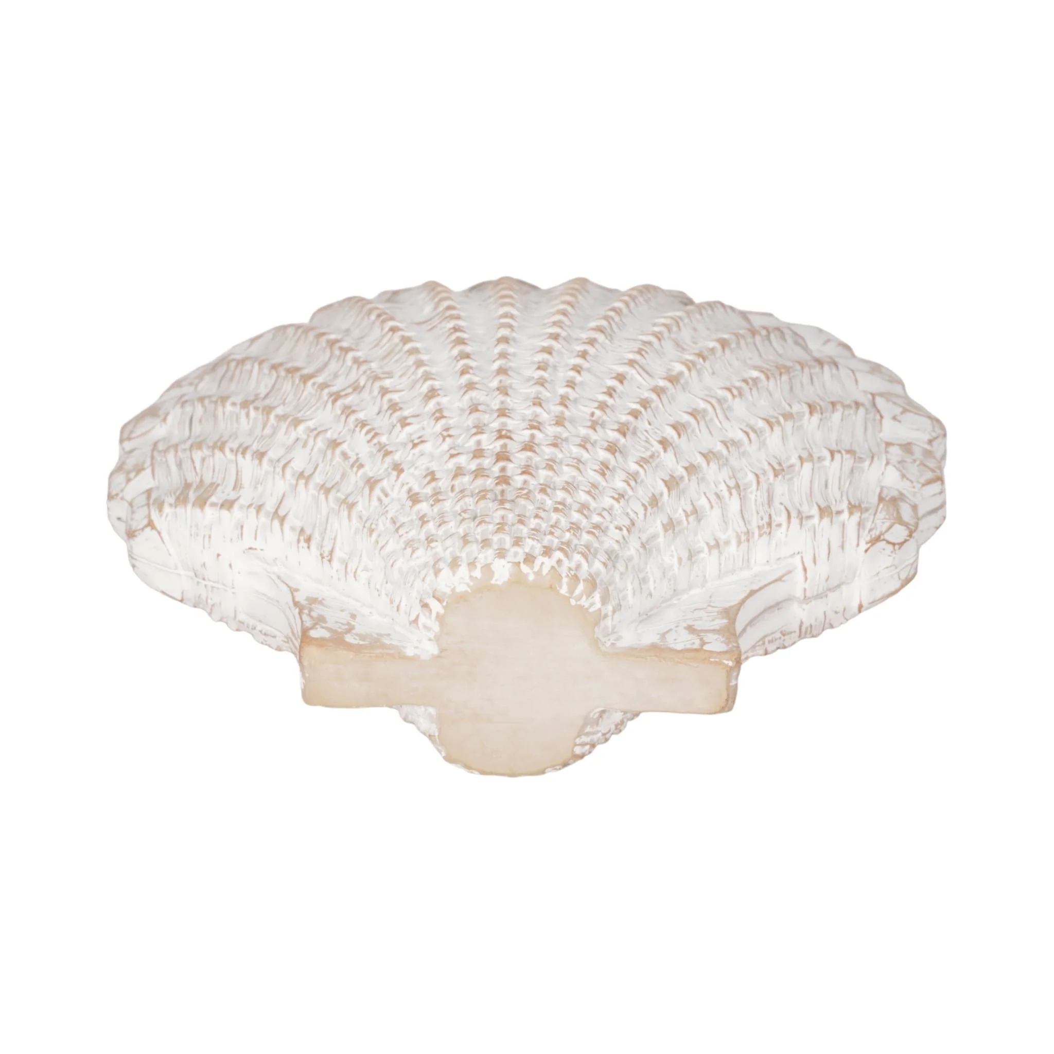 8" Sea Scallop Shell Woven Pattern, White - Image 6