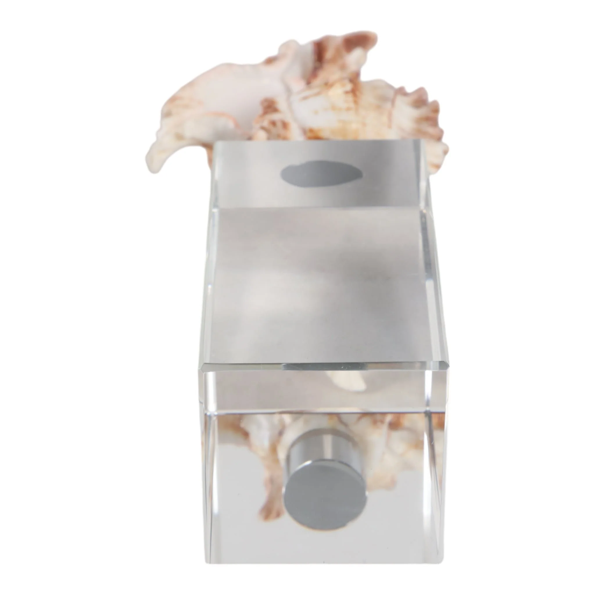 8x2" Shell On Crystal Base, Ivory/ Clear - Image 7