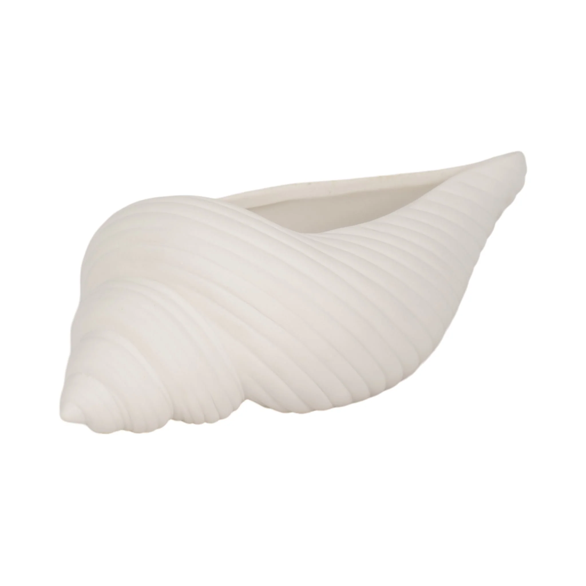 9" Conch Shell Planter, White - Image 3