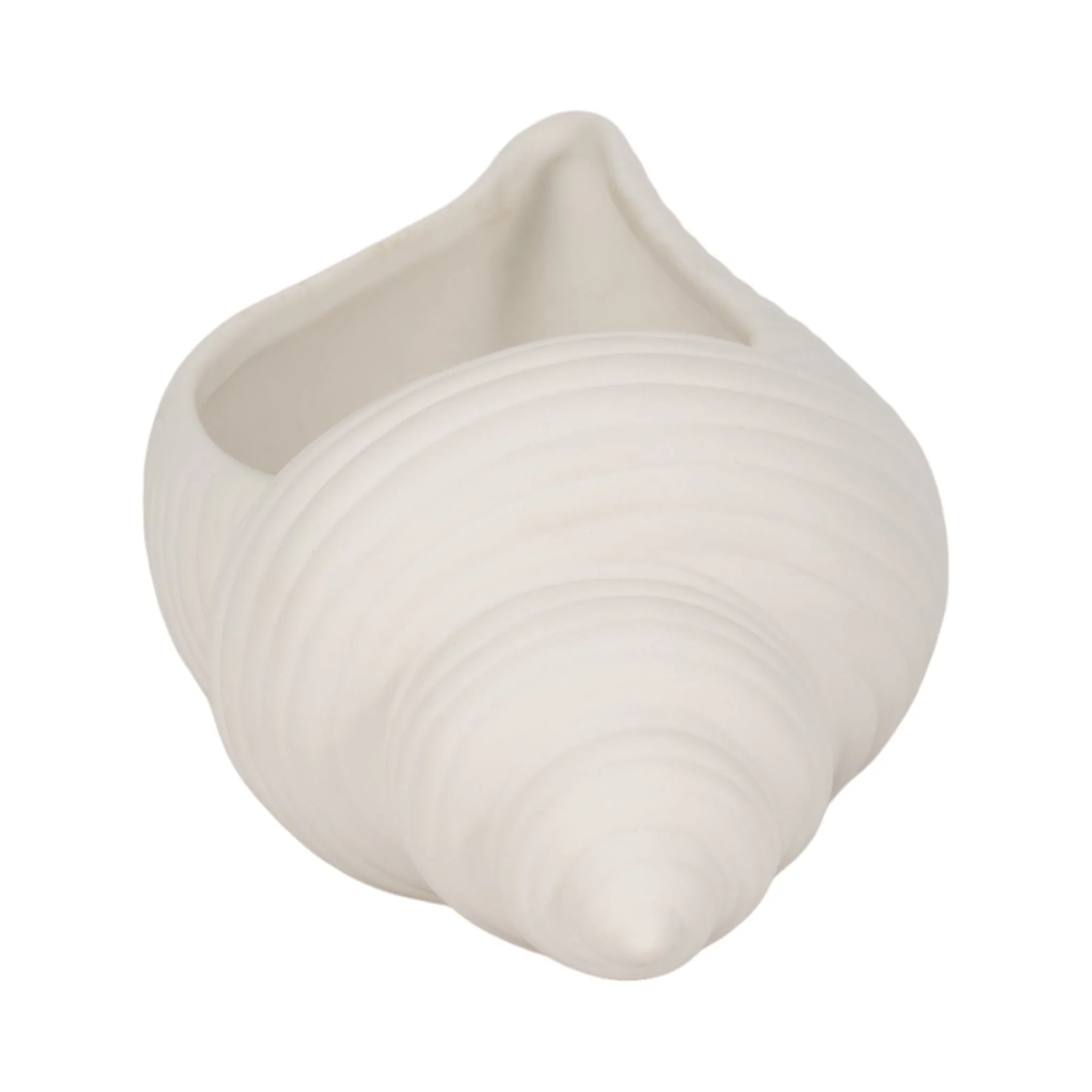 9" Conch Shell Planter, White - Image 4