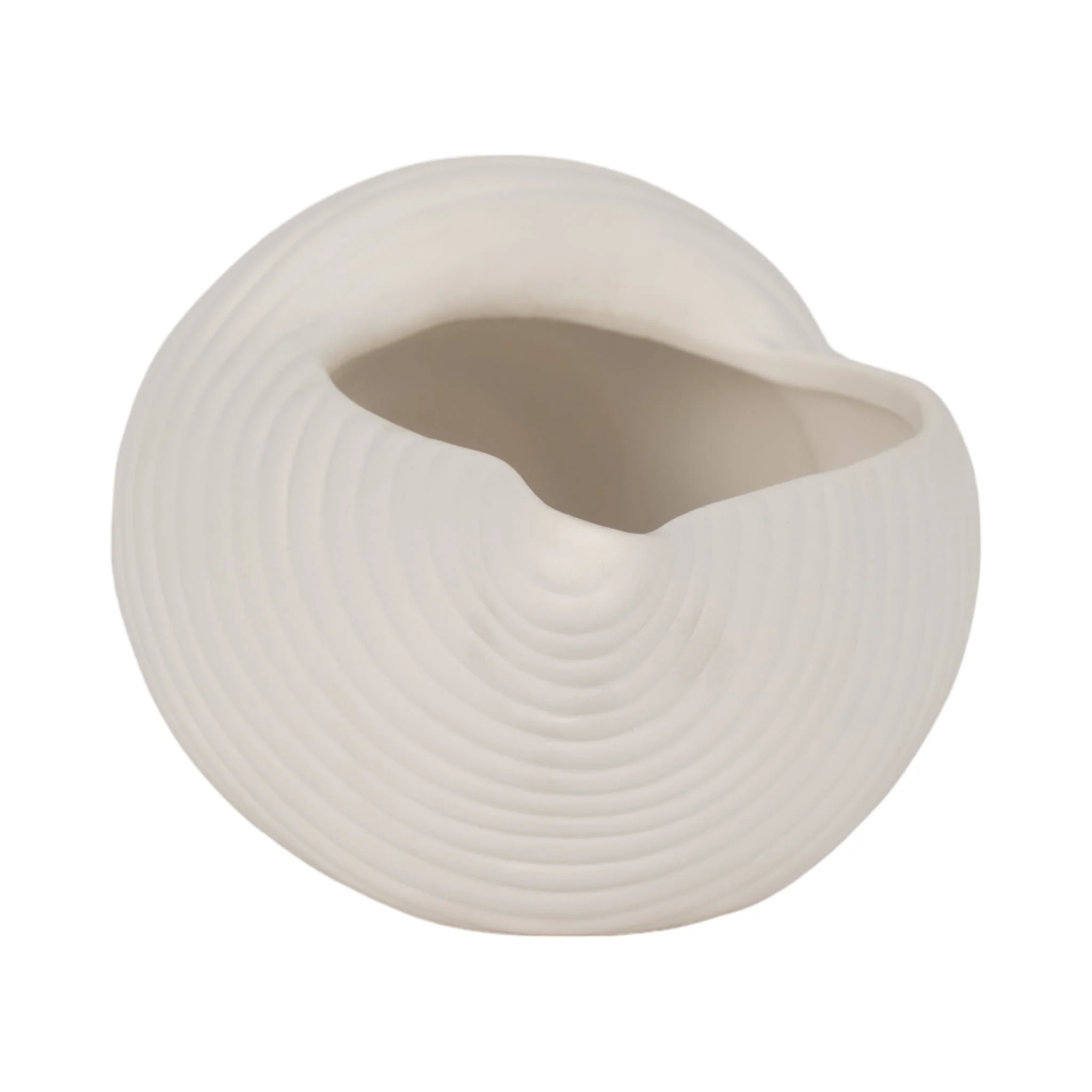 9" Conch Shell Planter, White - Image 5