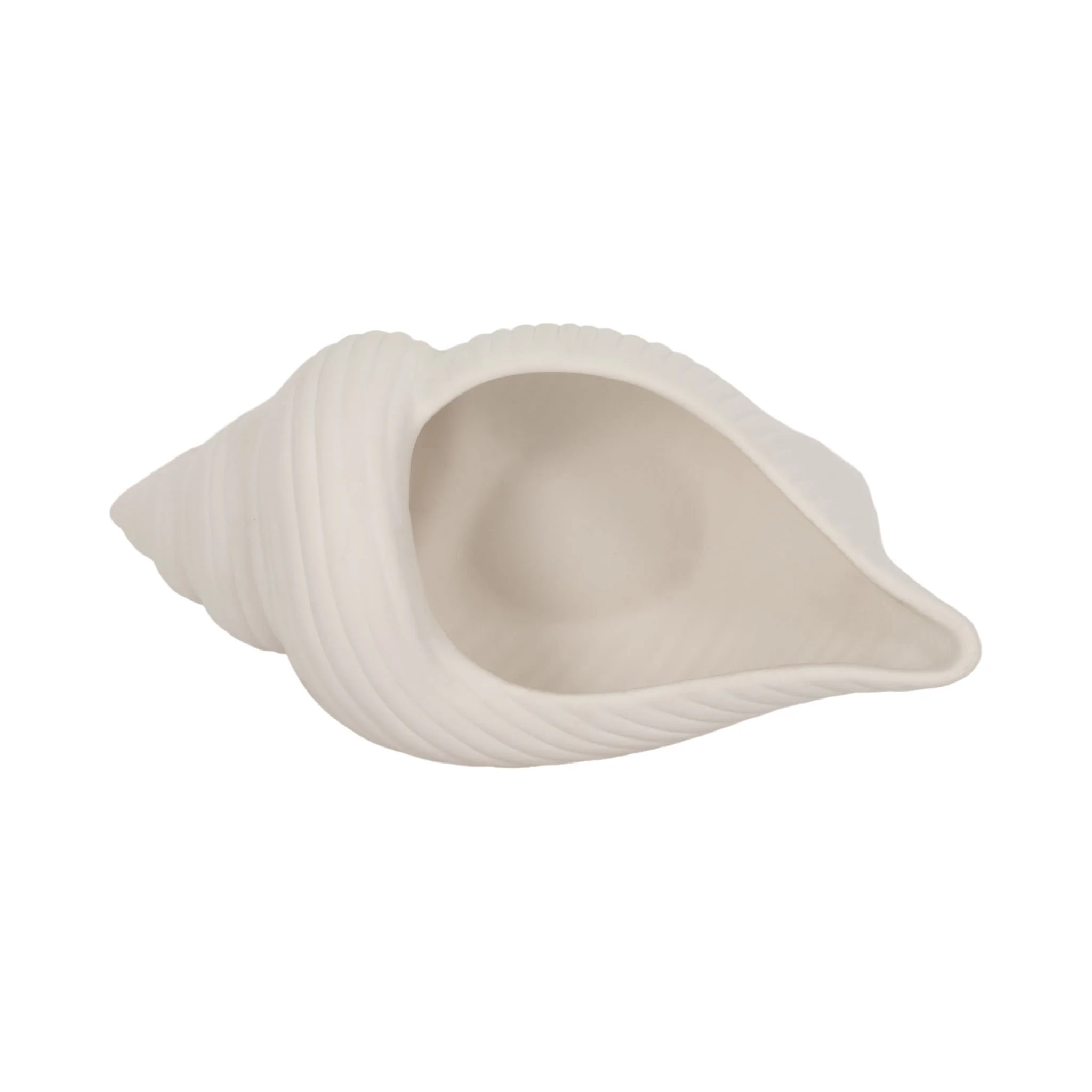 9" Conch Shell Planter, White - Image 6