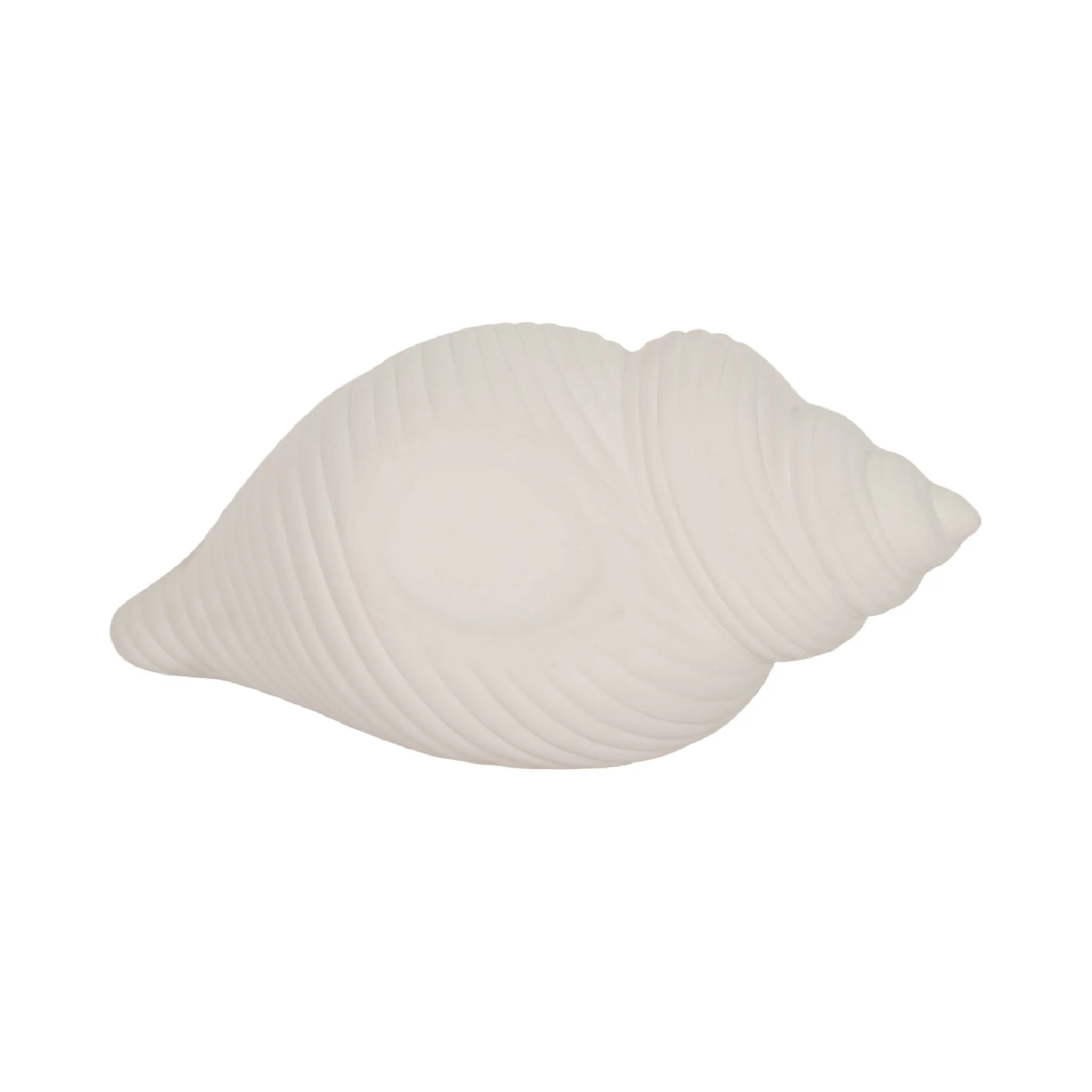 9" Conch Shell Planter, White - Image 7