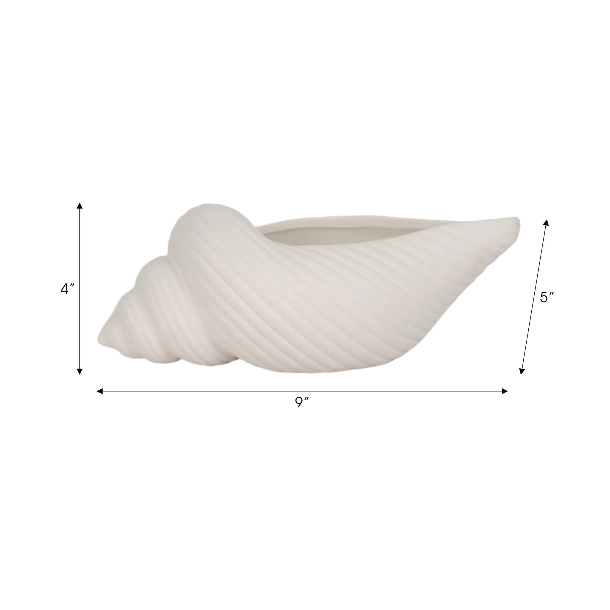 9" Conch Shell Planter, White - Image 8