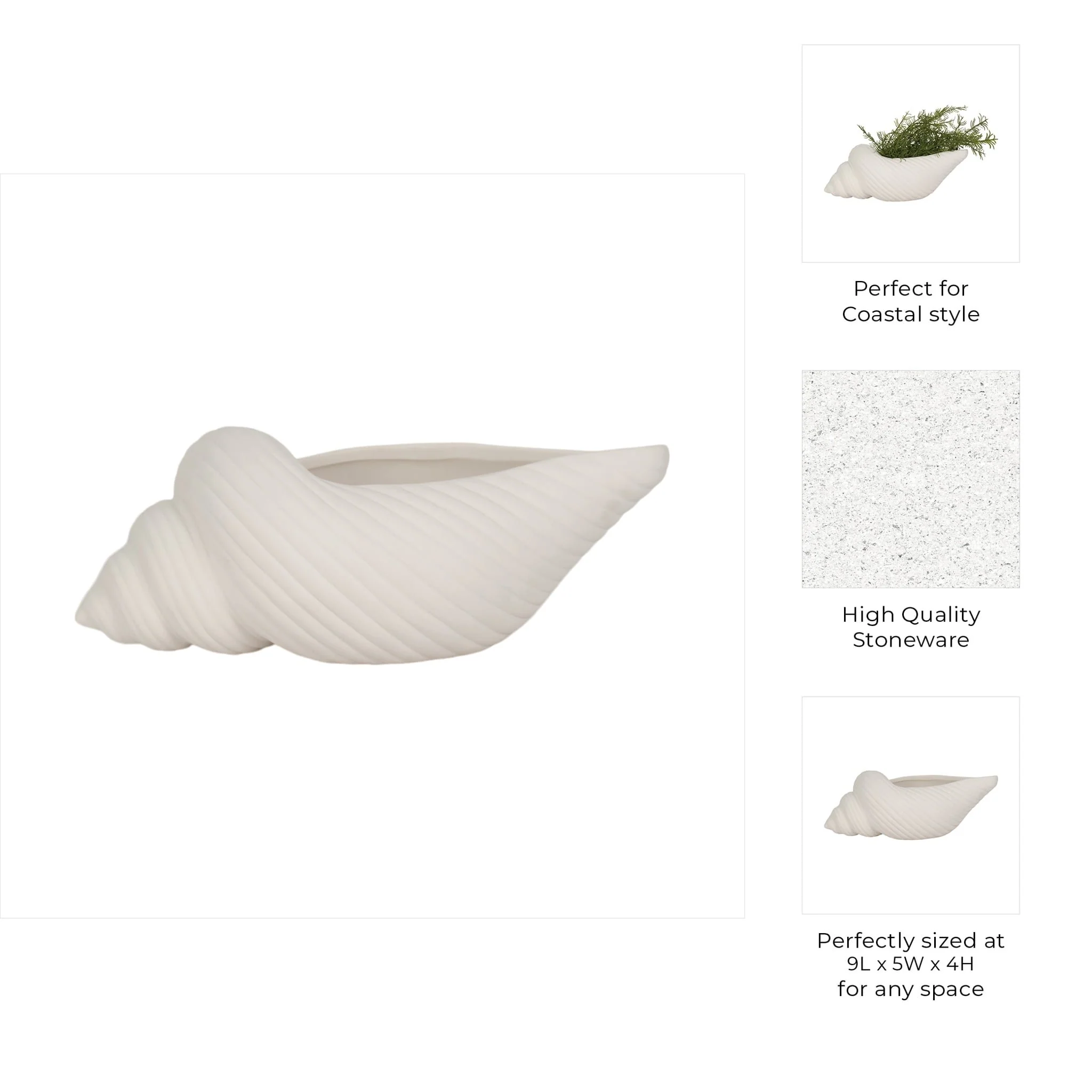 9" Conch Shell Planter, White - Image 9