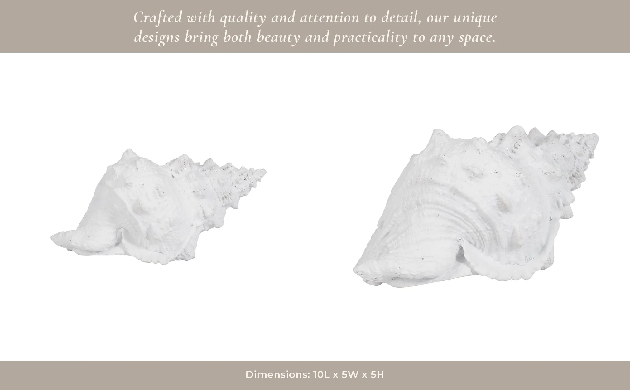 9" Conch Shell, White - Image 11