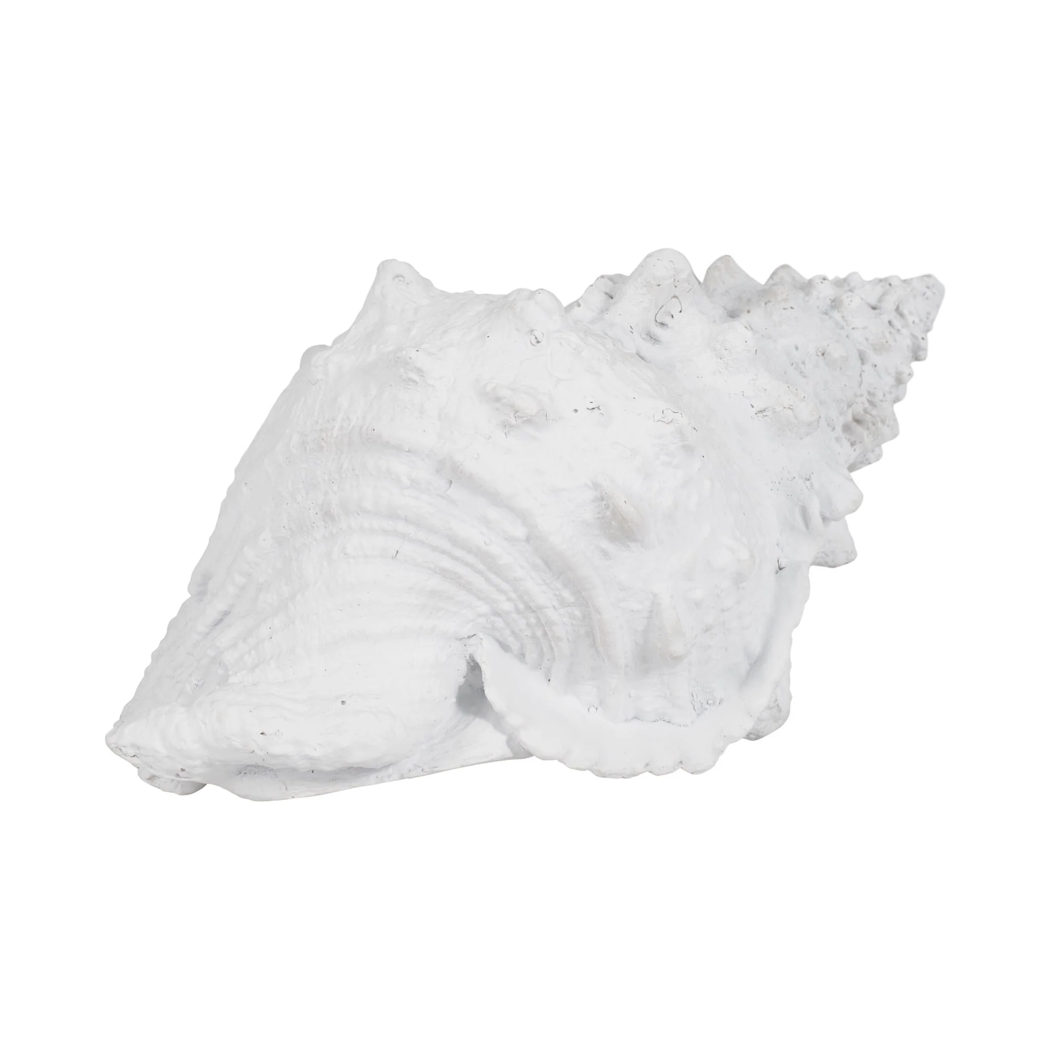 9" Conch Shell, White - Image 2
