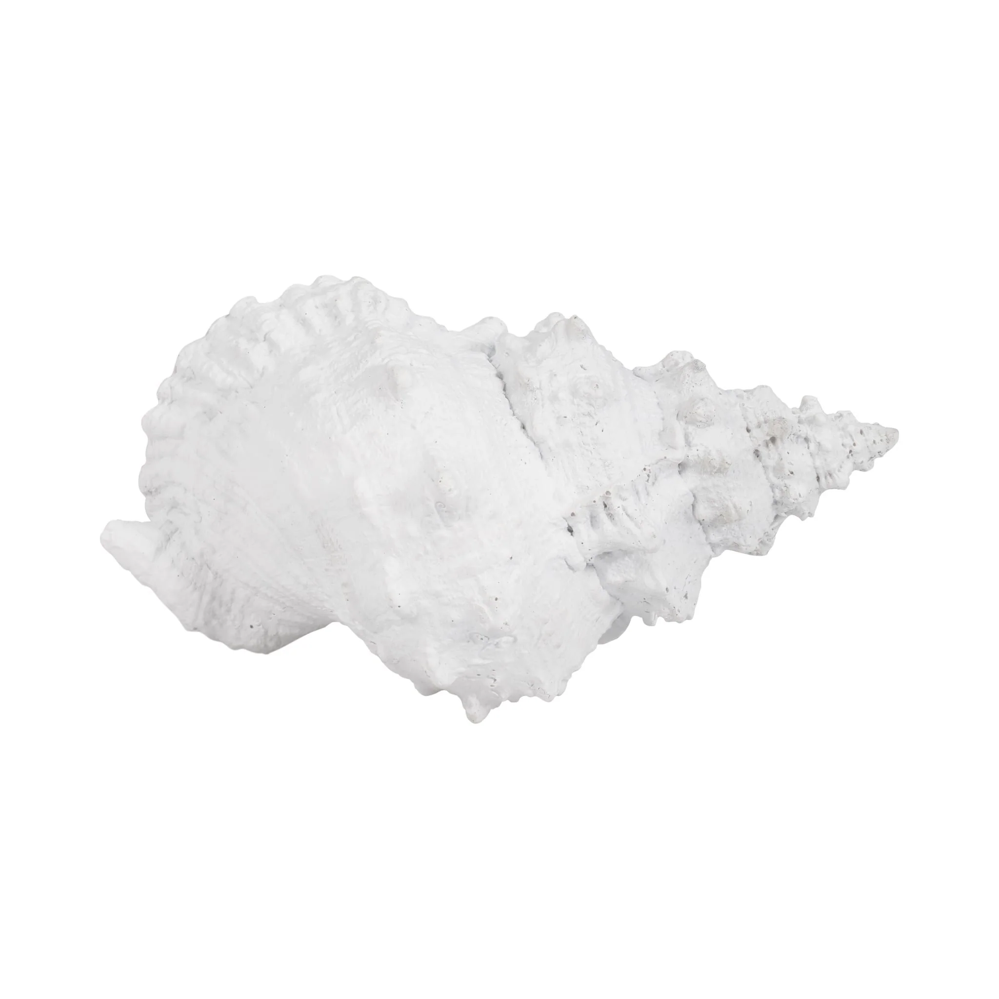9" Conch Shell, White - Image 7