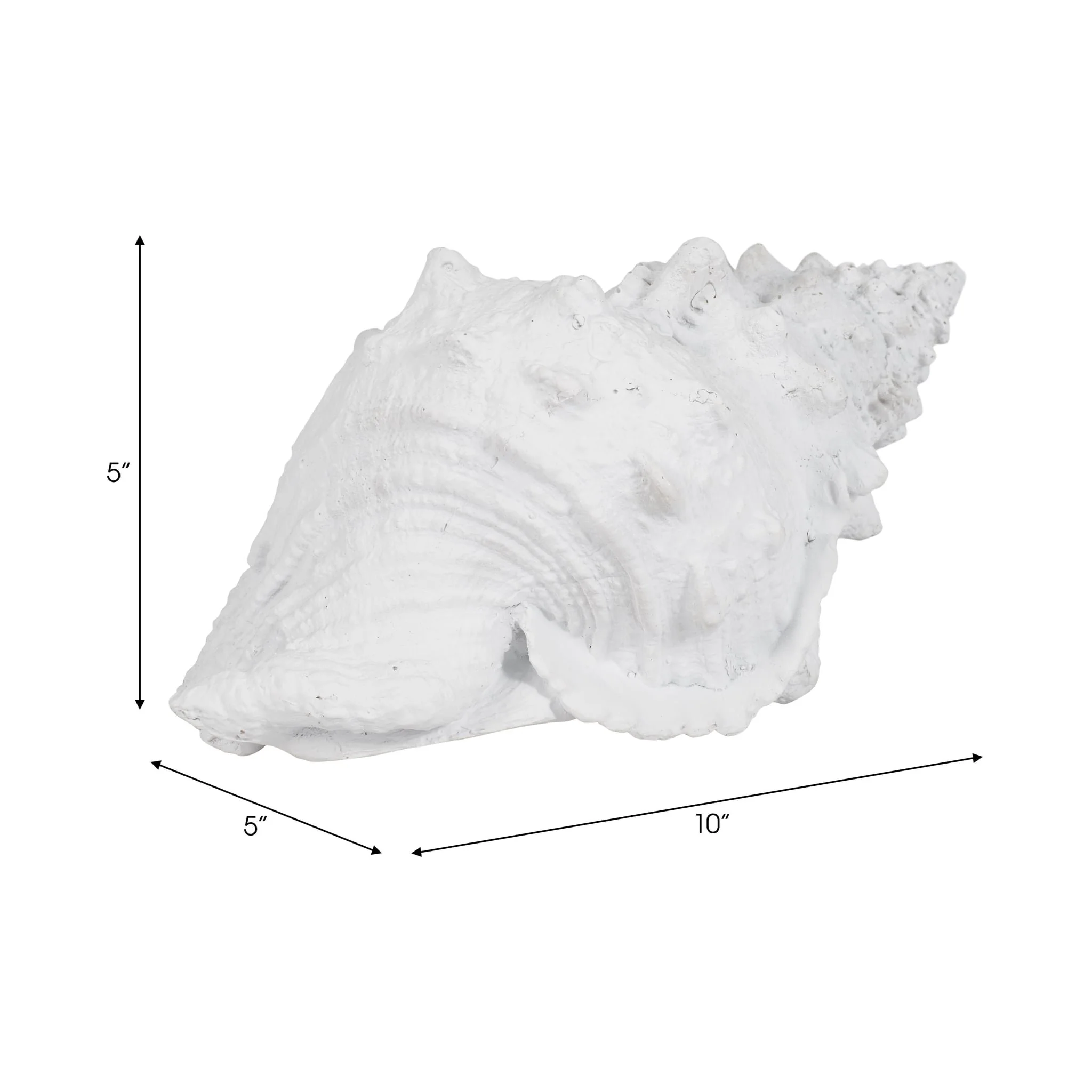 9" Conch Shell, White - Image 9
