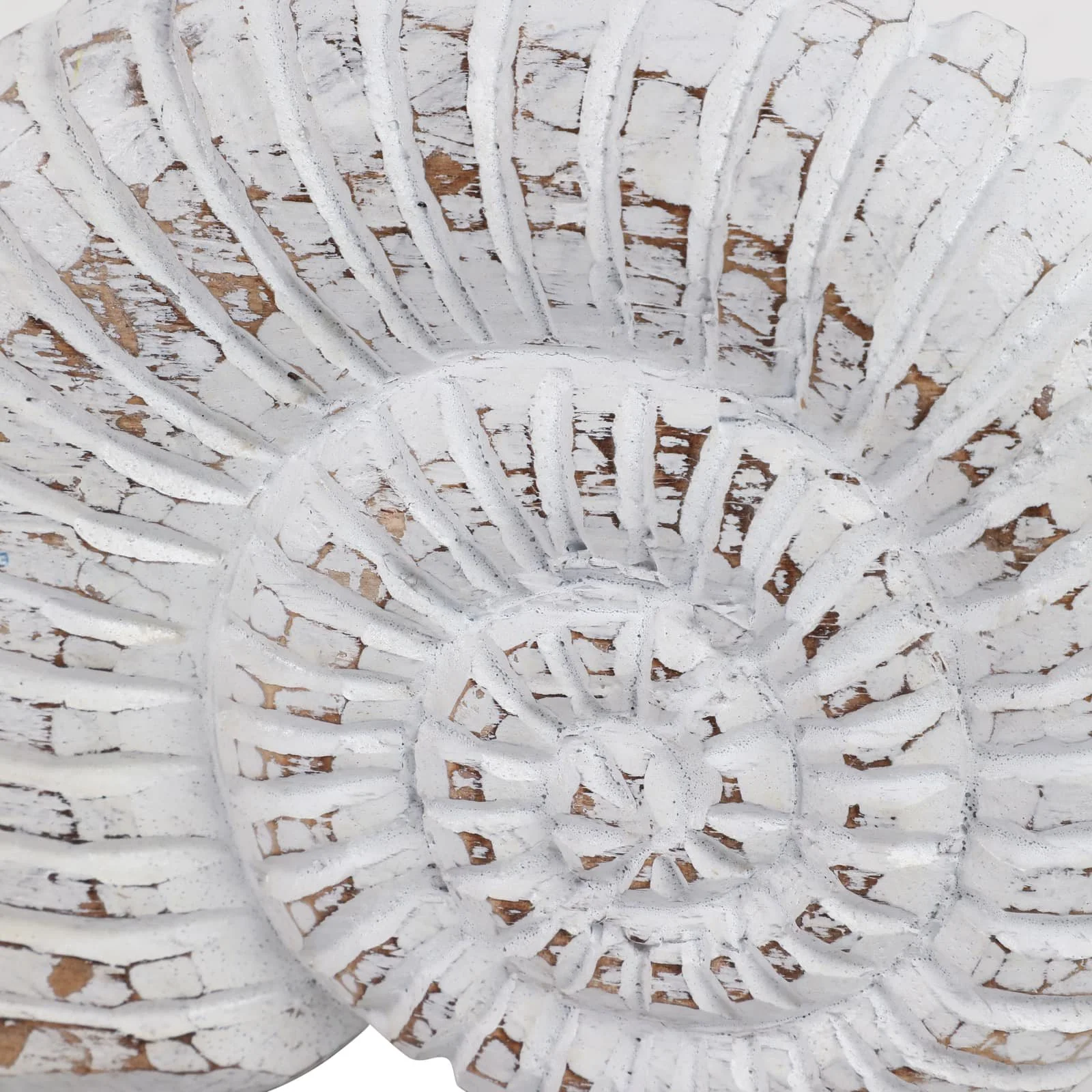 9" Wooden Snail Decor, Wht - Image 5