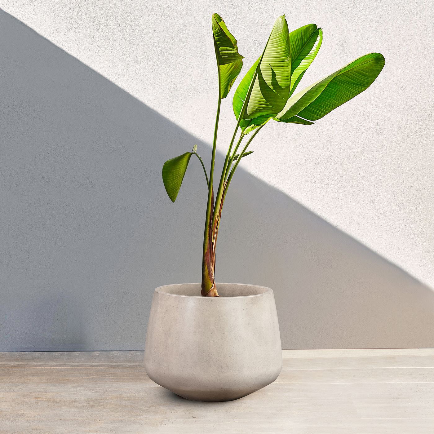 Amethyst Medium Round Lightweight White Concrete Indoor or Outdoor Planter in white - Image 7