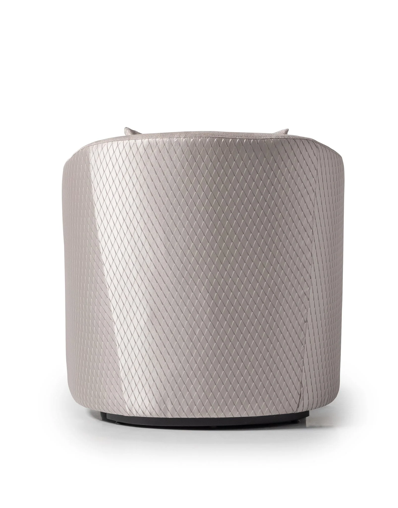 Carmela Accent Chair - Zinc/Silver - Image 4