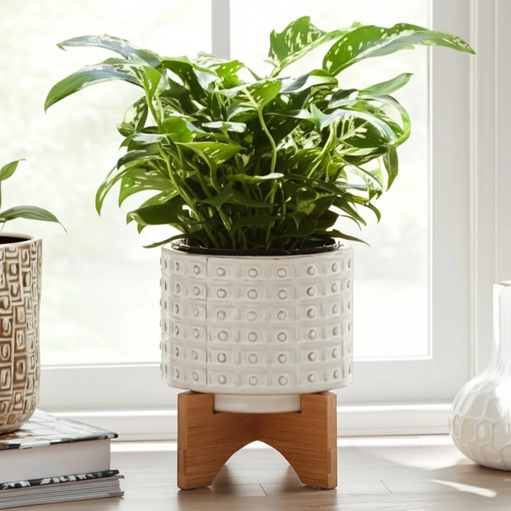 Ceramic 5" Dotted Planter W/wood Stand, Ivory - Image 11