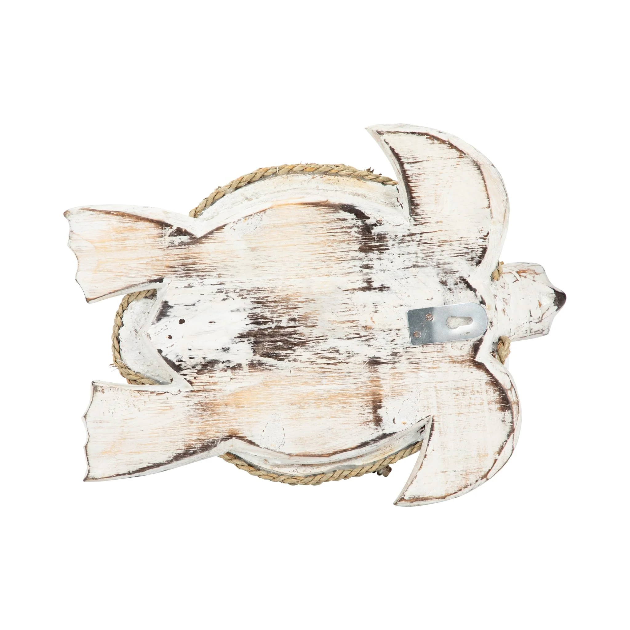 Coconut, 12"l Turtle, White/brown - Image 7