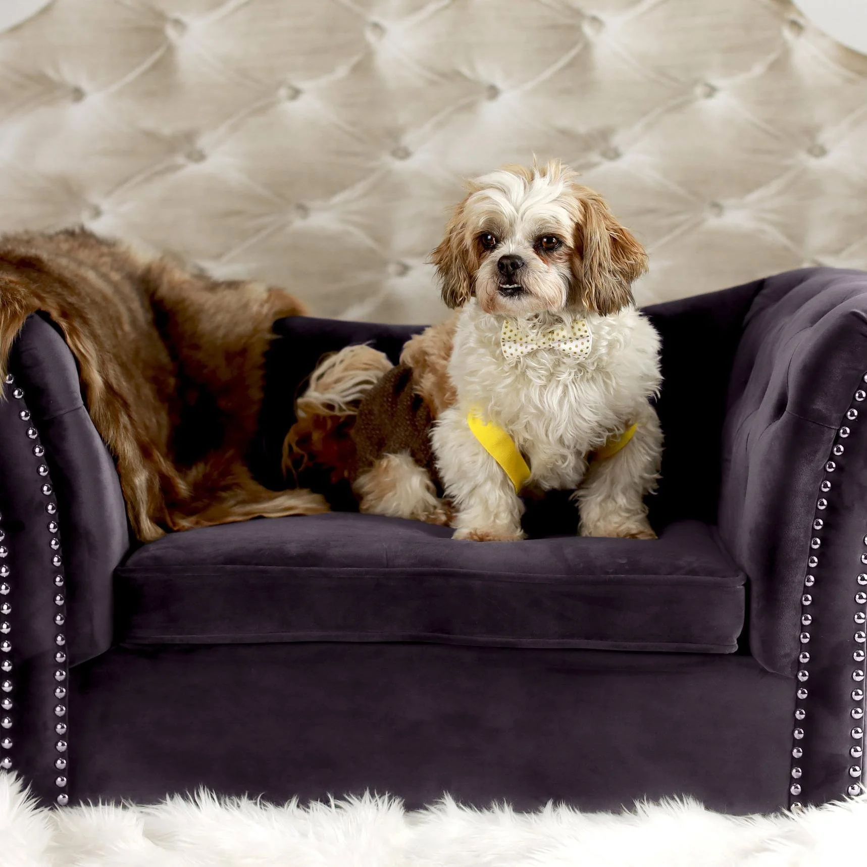 Dachshund Grey Pet Bed - Image 2