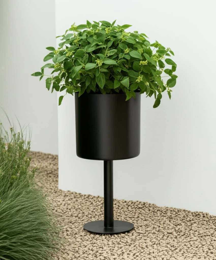 Ec Metal,6",flat Round Base Planter,black - Image 8