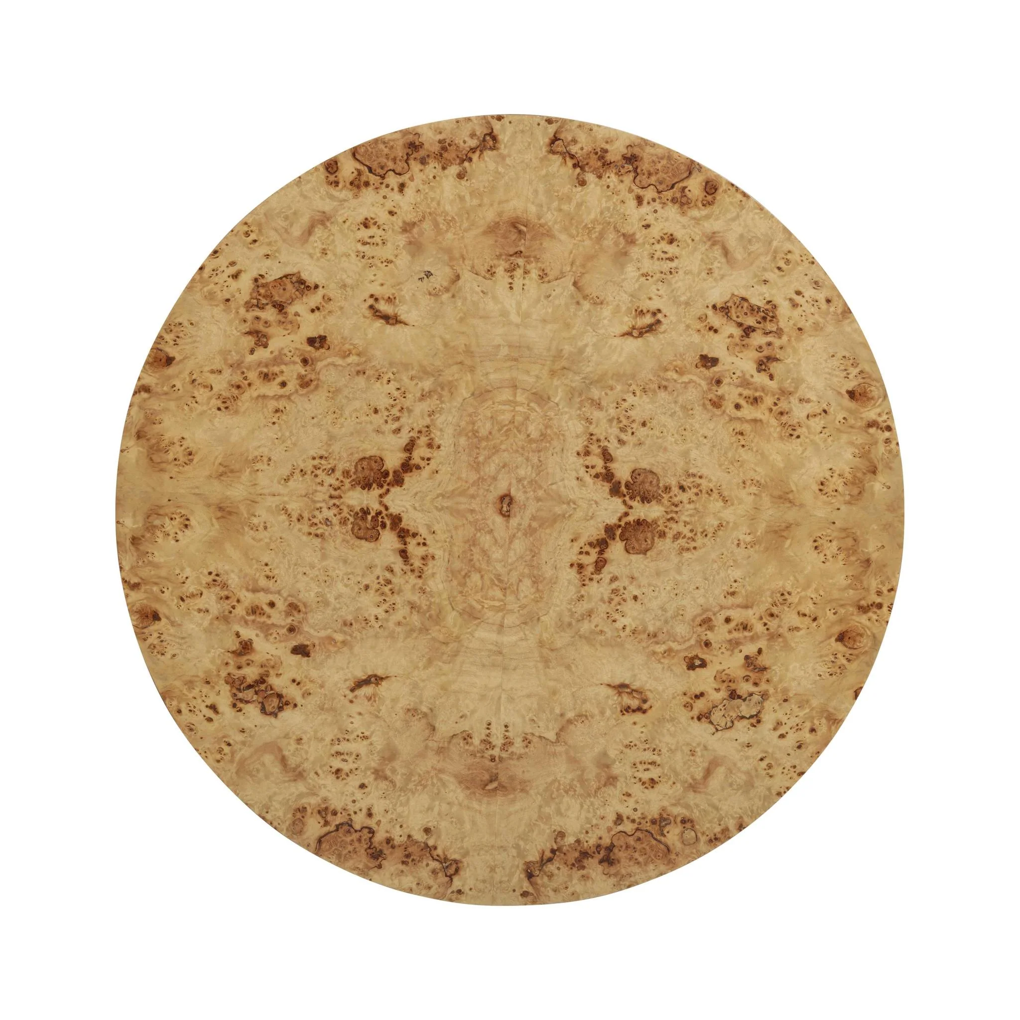Fig Natural Burl Drum Coffee Table - Image 4