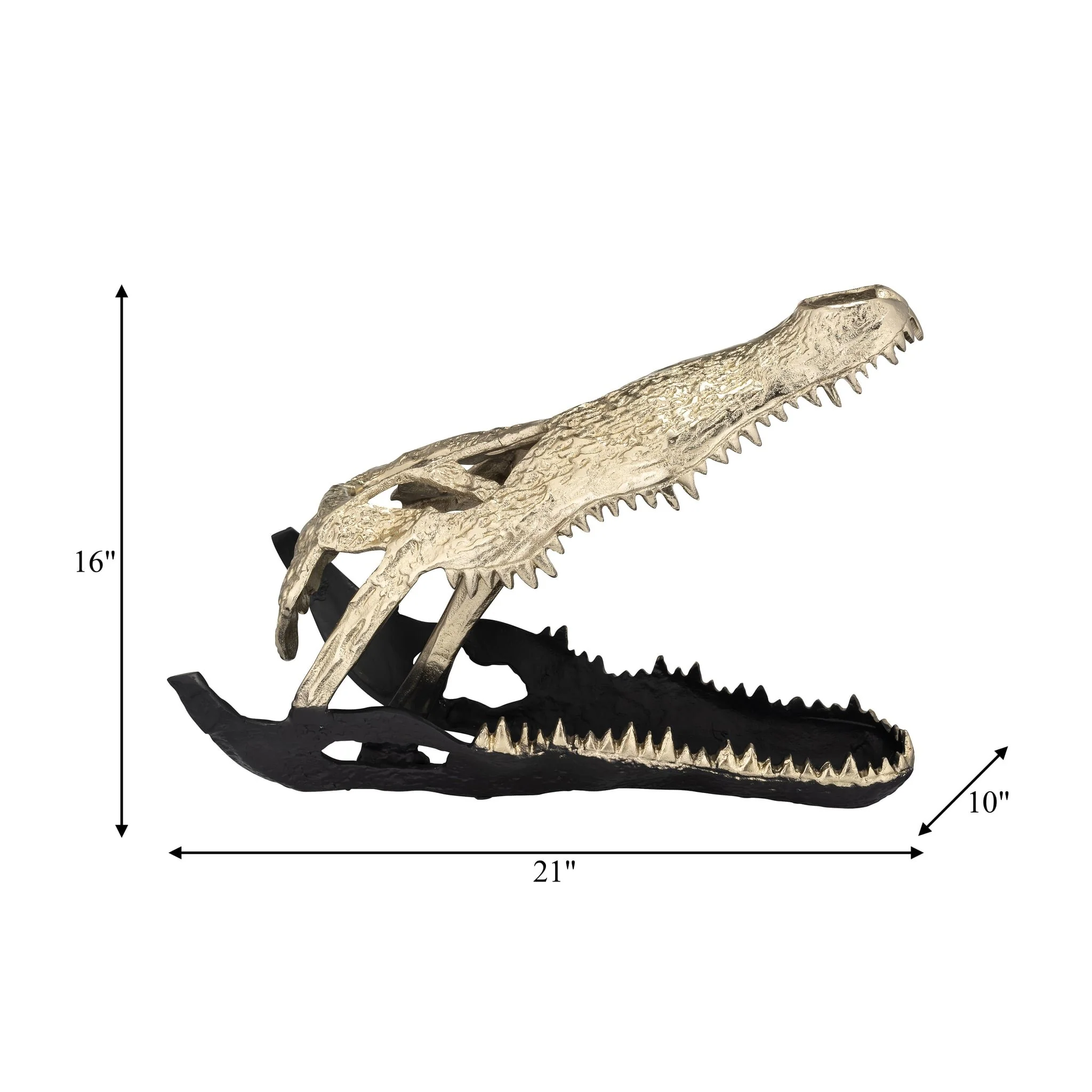 Metal,16",alligator Skull,gold/black - Image 8