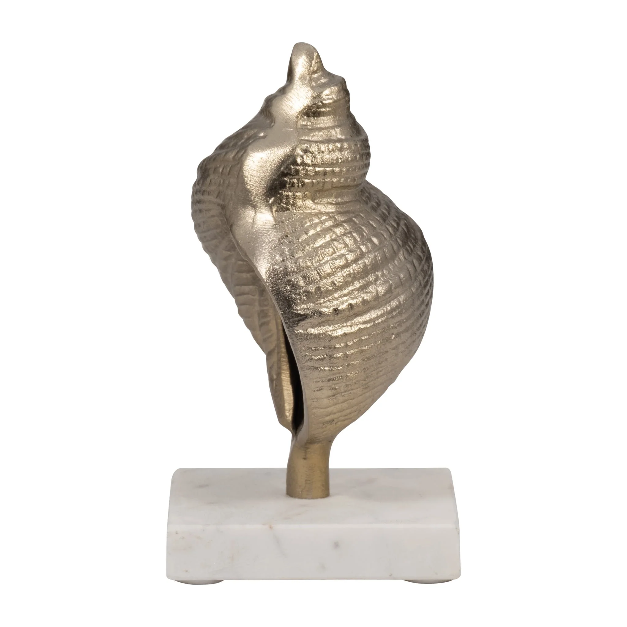 Metal, 7" Banded Shell On Marble Base, Champagne - Image 3