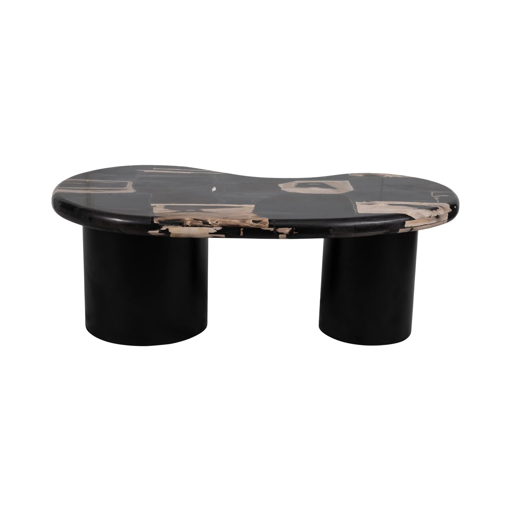 Petrified Wood, 51" Kidney Coffee Table, Black - Image 4