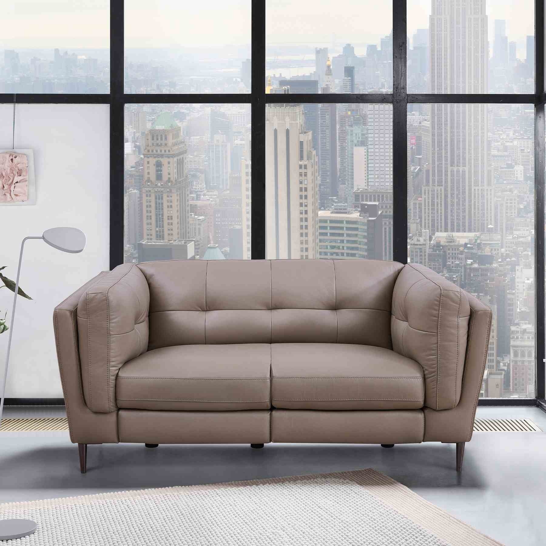 Primrose Contemporary Loveseat in Dark Metal Finish and Greige Genuine Leather - Image 9