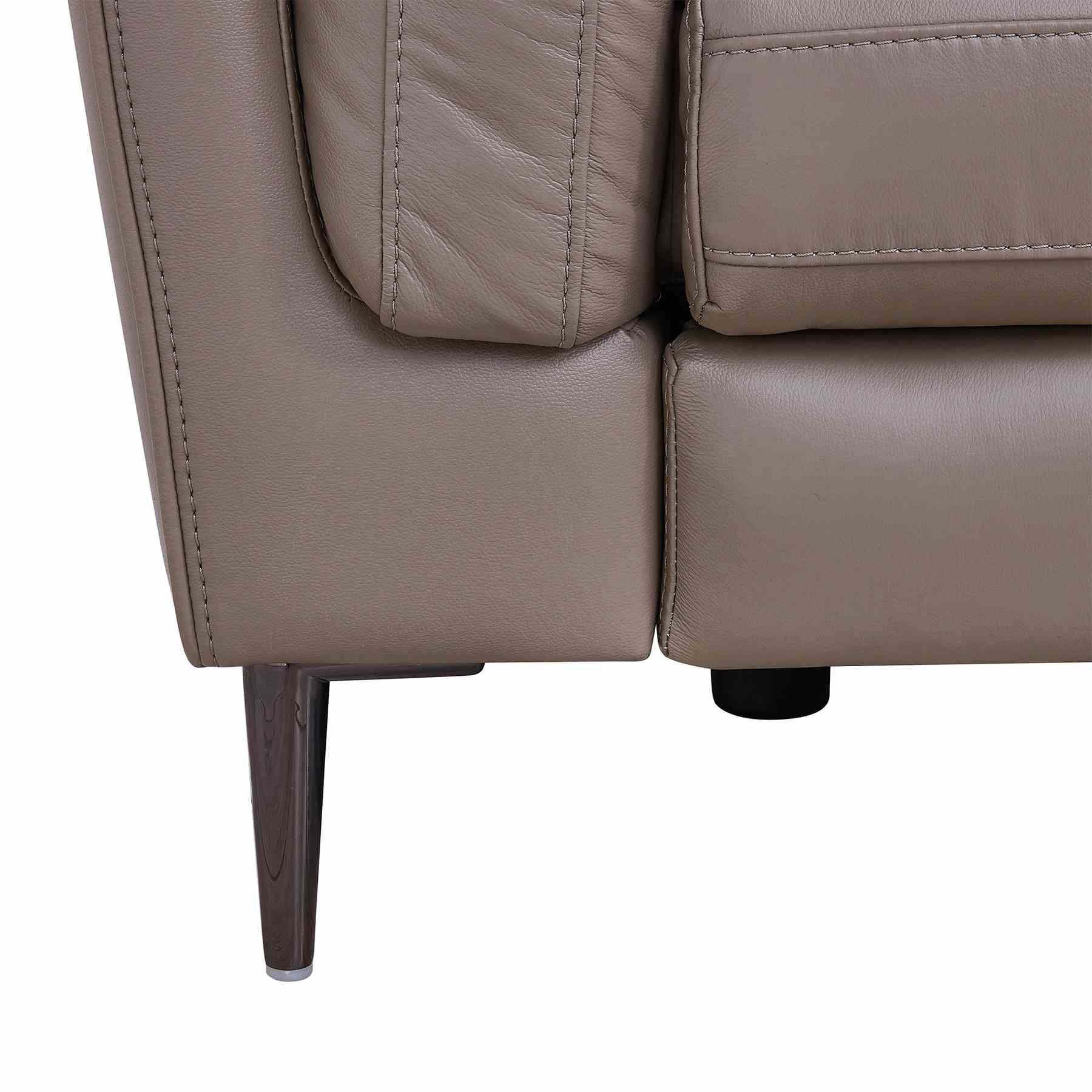 Primrose Contemporary Sofa in Dark Metal Finish and Greige Genuine Leather - Image 5