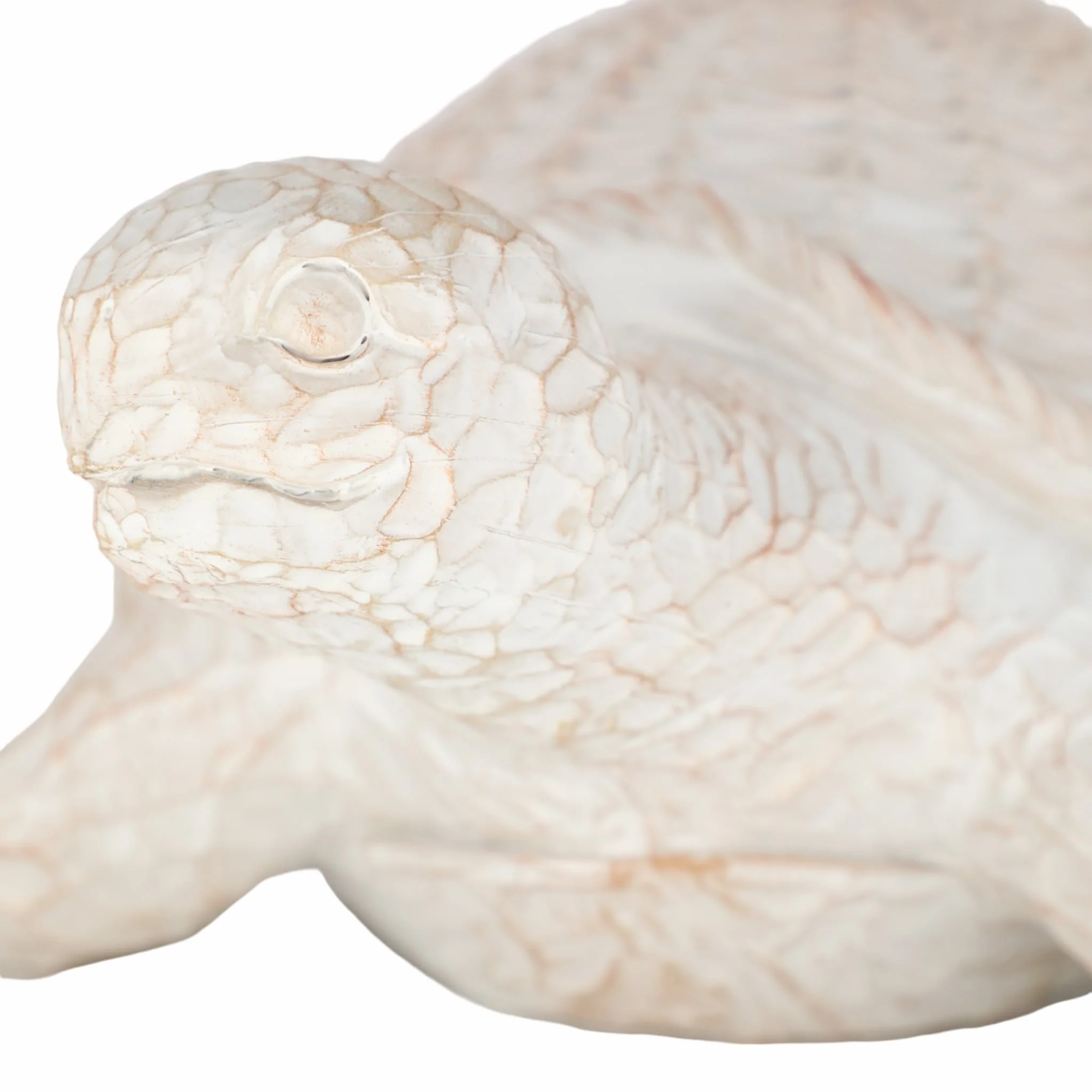 Resin, 15" Turtle Deco, White - Image 5