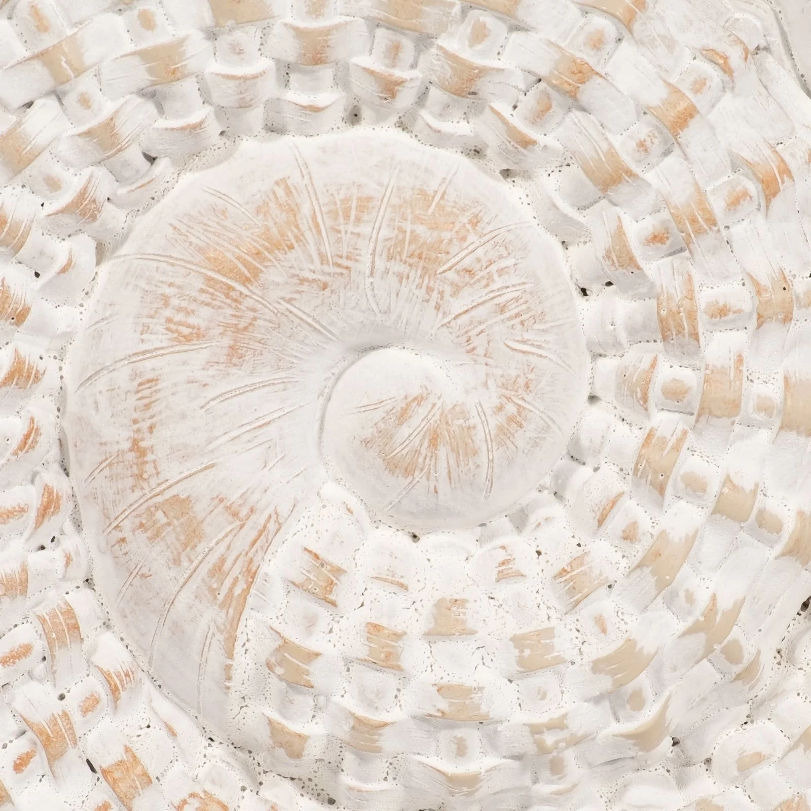 Resin, 7"h Shell Table Accent, White - Image 4