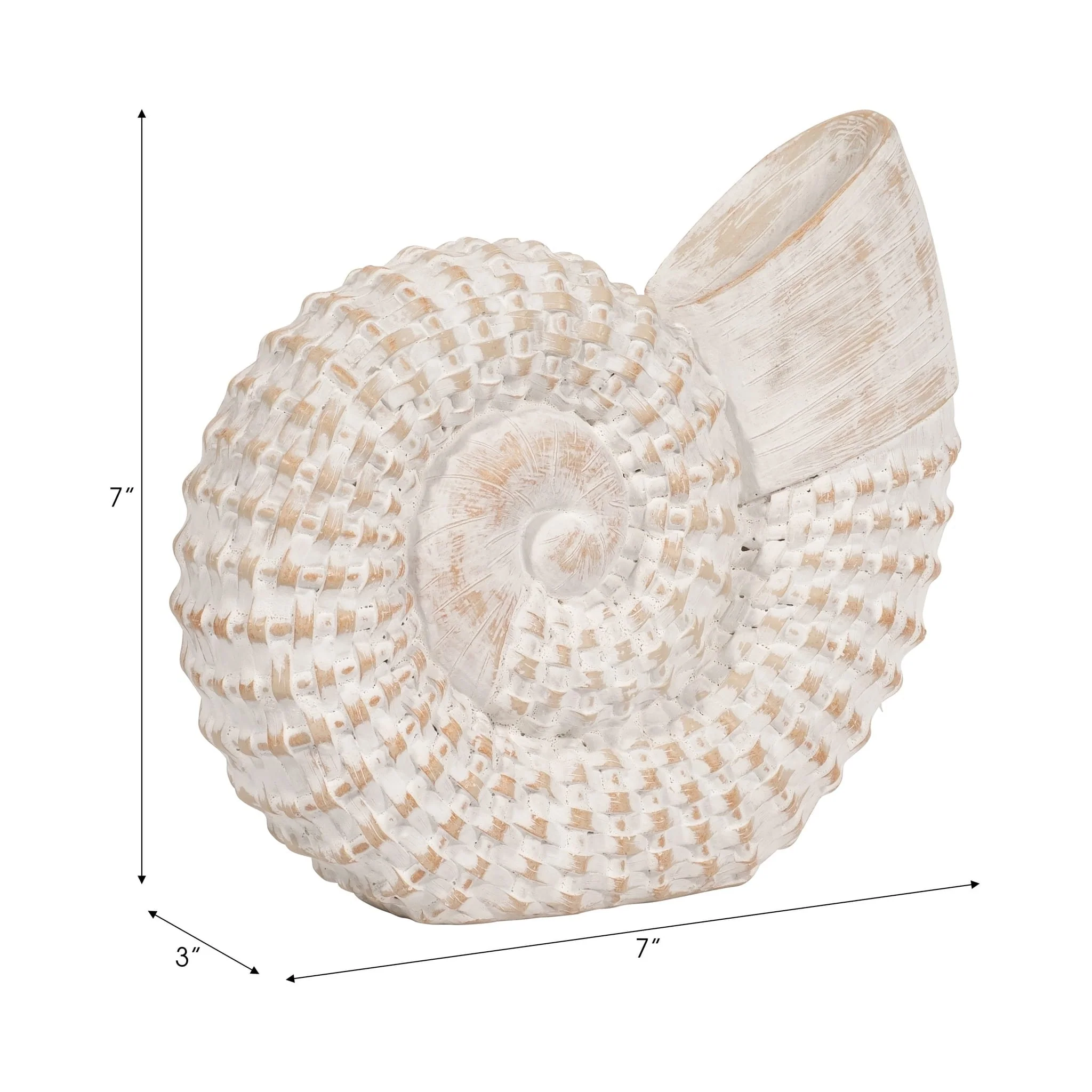 Resin, 7"h Shell Table Accent, White - Image 8