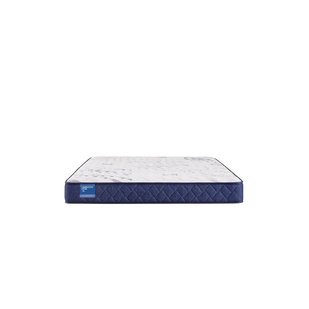 Resting Manor Foam Mattress - Image 5