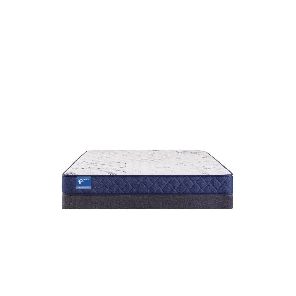 Resting Manor Foam Mattress - Image 9