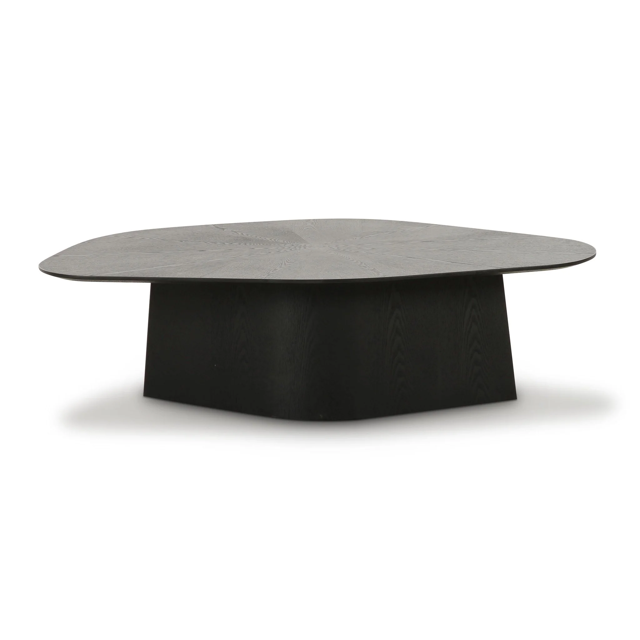 Roche Black Ash Geometric Coffee Table - Image 3
